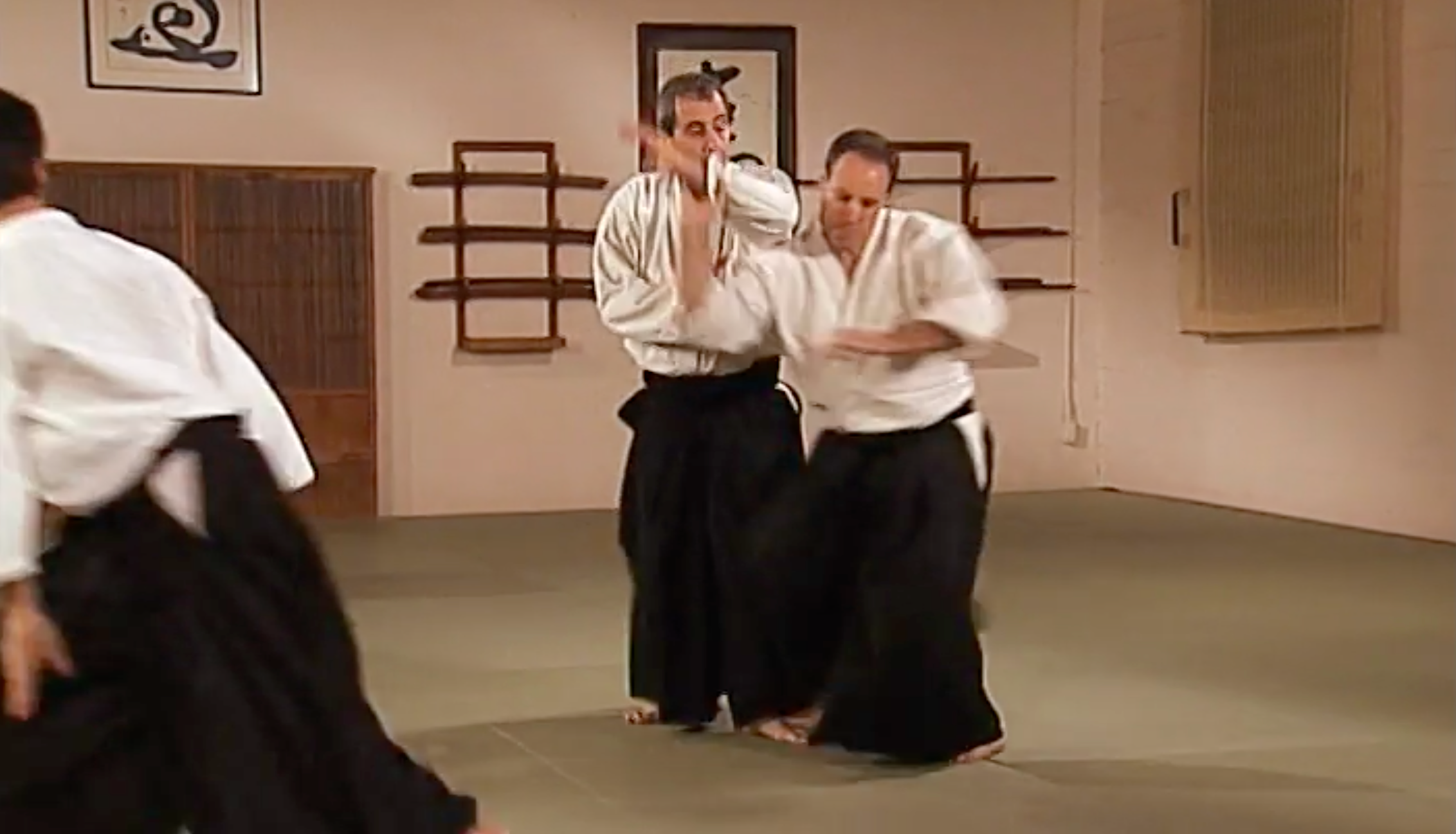 Aikido in Three Easy Lessons DVD by Richard Moon – Learn Aikido Basics for Beginners | Self-Defense & Martial Arts Training at Home