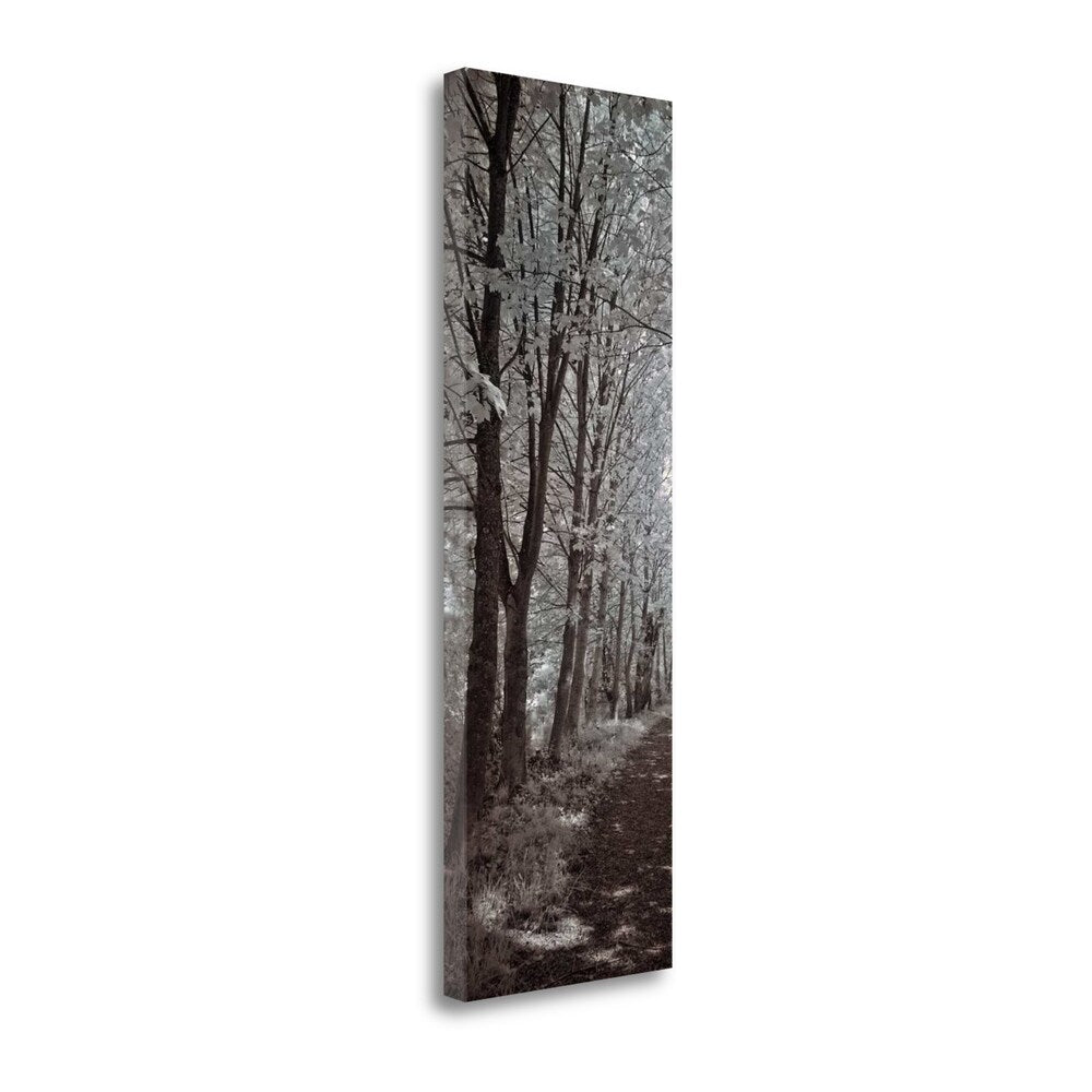 Ily Szilagyi 'A Walk To Remember' Fine Art Giclee Print on Gallery Wrap Canvas - Ready to Hang Wall Decor for Living Room, Bedroom & Office