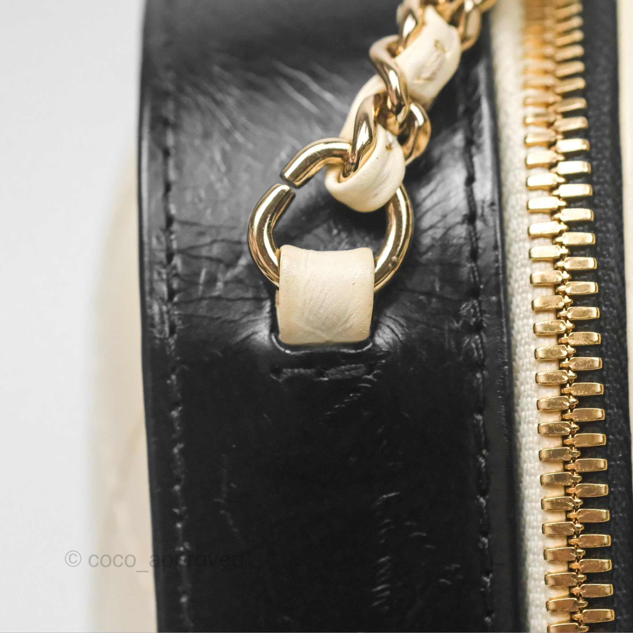 Chanel Camera Case Bag in Black & White Calfskin with Gold Hardware - Perfect for Everyday Luxury & Travel Accessories