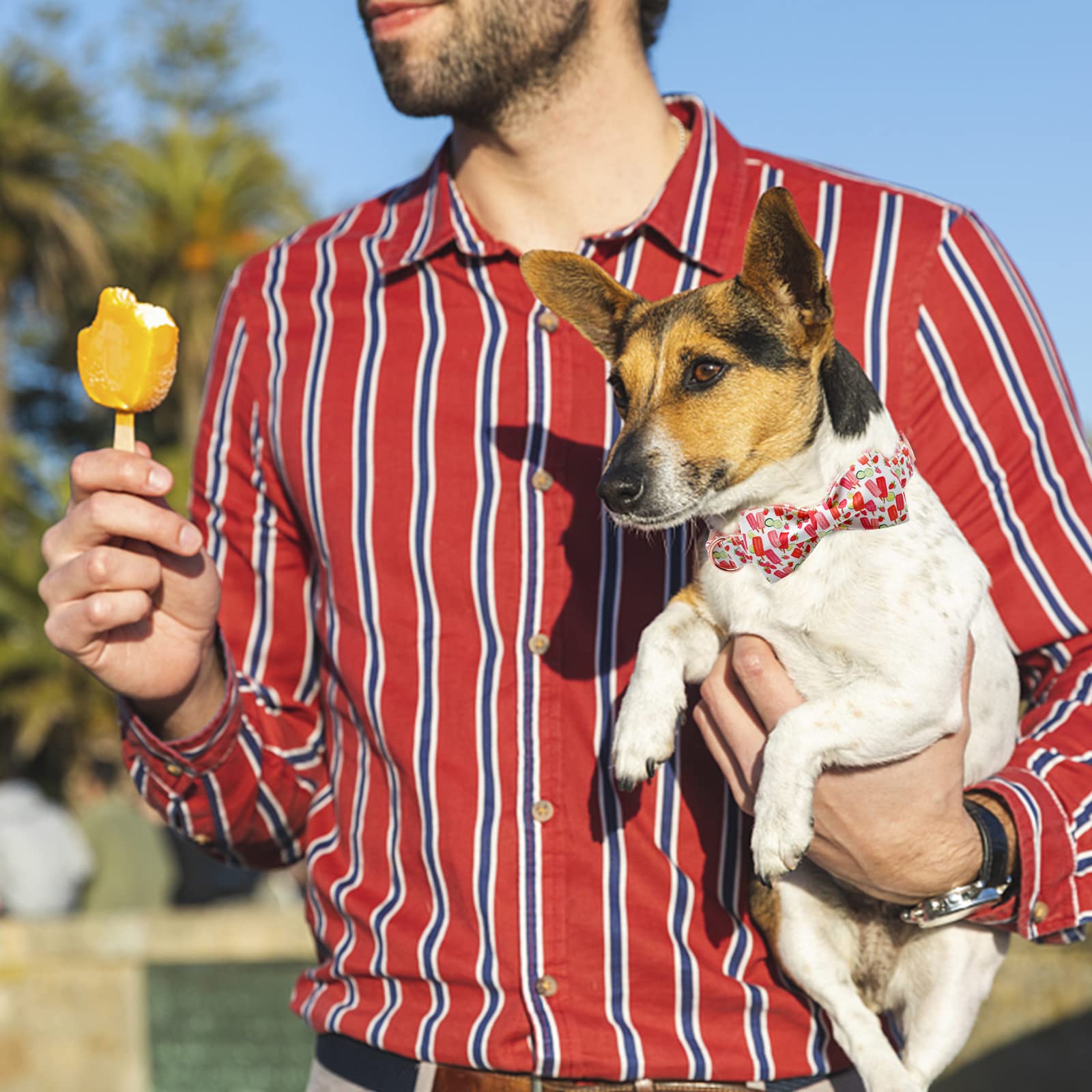 **Lionheart Glory Dog Collar with Bow - Cute Popsicle Print Bowtie Collar for Medium Dogs | Perfect Gift for Pet Lovers | Ideal for Walks, Parties & Photo Shoots**