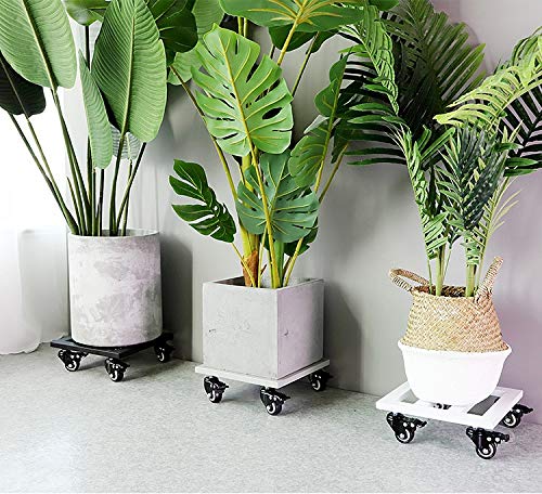 Heavy Duty Square Metal Plant Pot Trolley with Wheels - Large Garden Flower Pot Mover Dolly & Stand - Indoor/Outdoor Plant Caddy with Saucers - White, 40