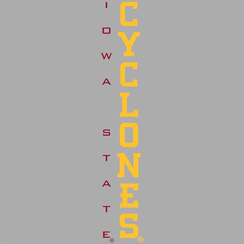 Vert Iowa State Cyclones - Gray