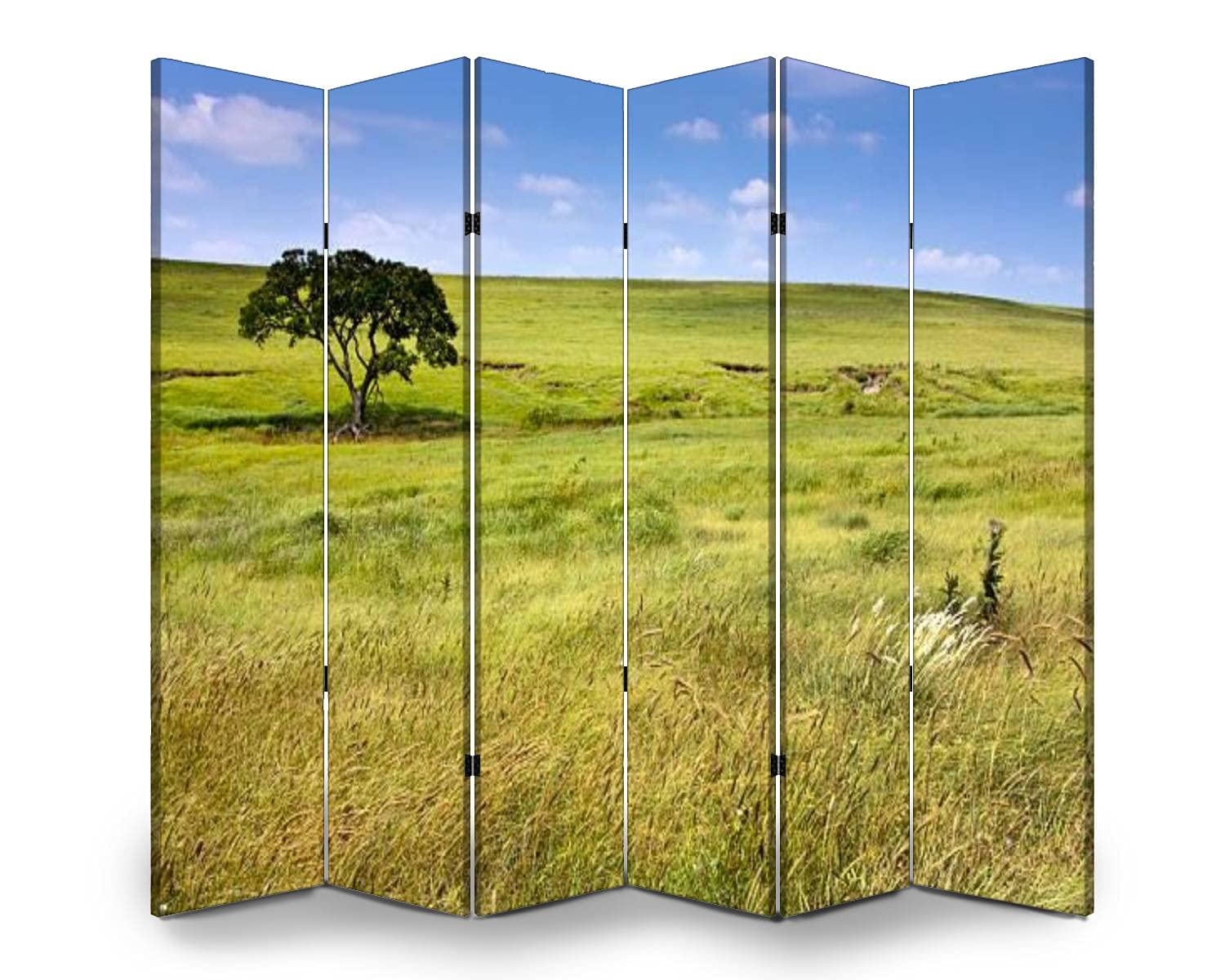 6-Panel Folding Room Divider with Kansas Tallgrass Prairie Landscape - Freestanding Privacy Screen for Indoor/Outdoor Use | Perfect for Home Offices, Living Rooms & Patios