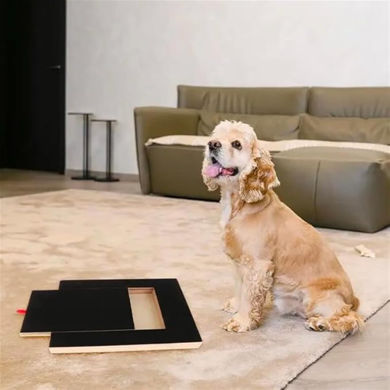 Absolute Pet Dog Nail File & Scratch Pad - Soothing Nail Grinder for Small & Large Dogs with Treat Box | At-Home Pet Grooming & Nail Care Solution for Puppies & Adult Dogs