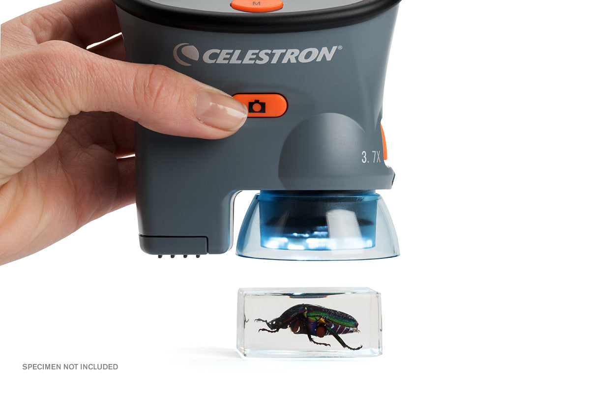 Celestron 44310 LCD Handheld Digital Microscope with 4.3