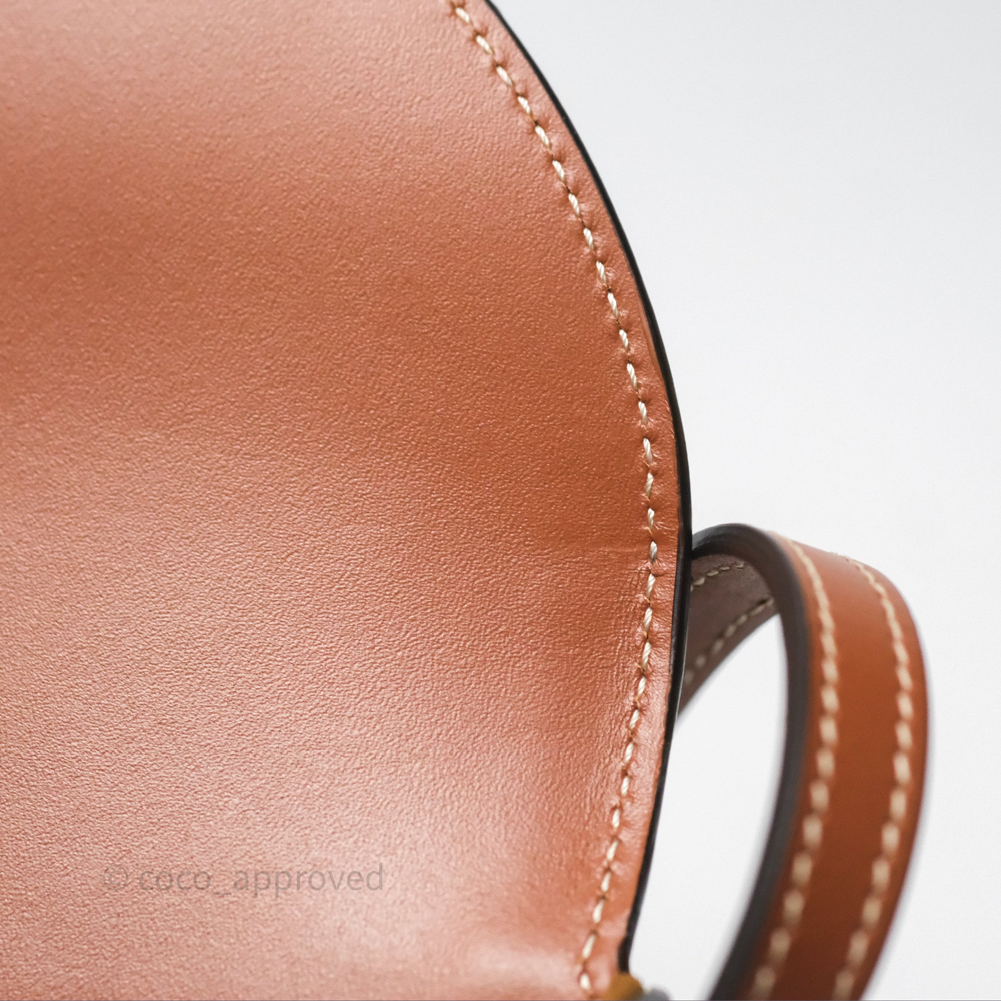 Celine Triomphe Canvas Leather Crossbody Bag in Tan - Stylish and Elegant for Work, Travel & Everyday Use