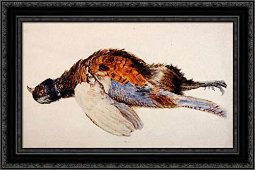 John Ruskin Dead Pheasant 24x16 Black Ornate Wood Framed Canvas Art - Vintage Home Decor for Living Room, Bedroom & Office Wall