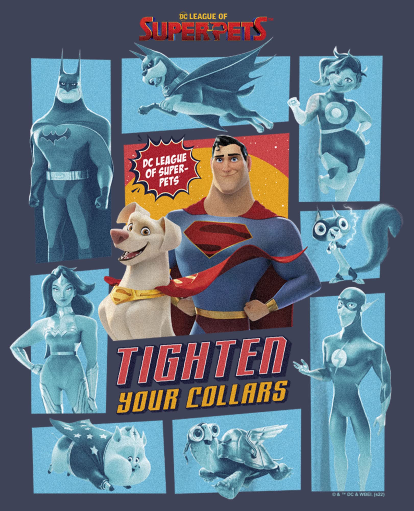 Boys DC Super-Pets Tighten Collar T-Shirt for Kids Play