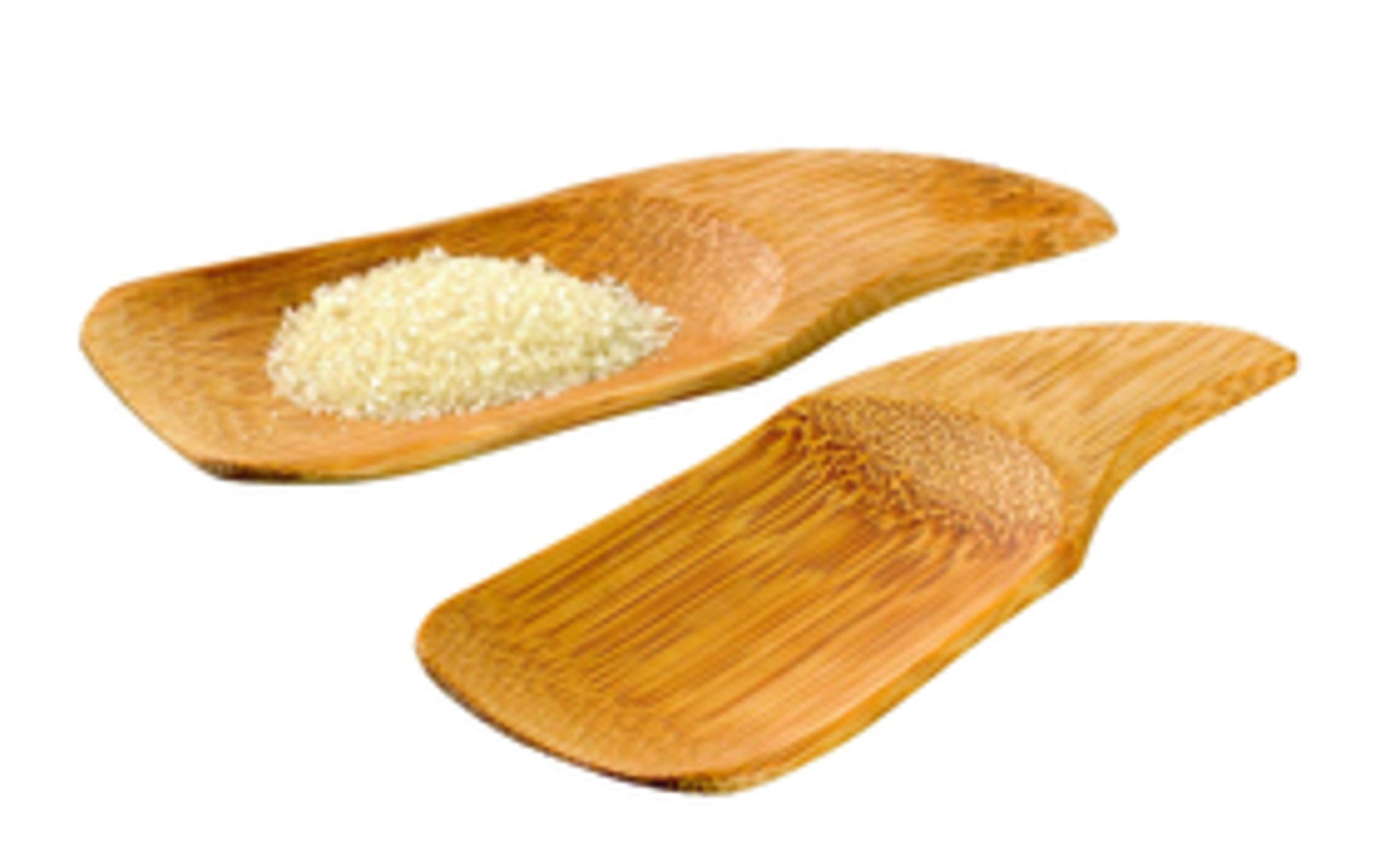 PACKNWOOD 209B Phuket Natural Bamboo Spoons - Eco-Friendly Disposable & Compostable Wooden Tasting Spoons - 3.9