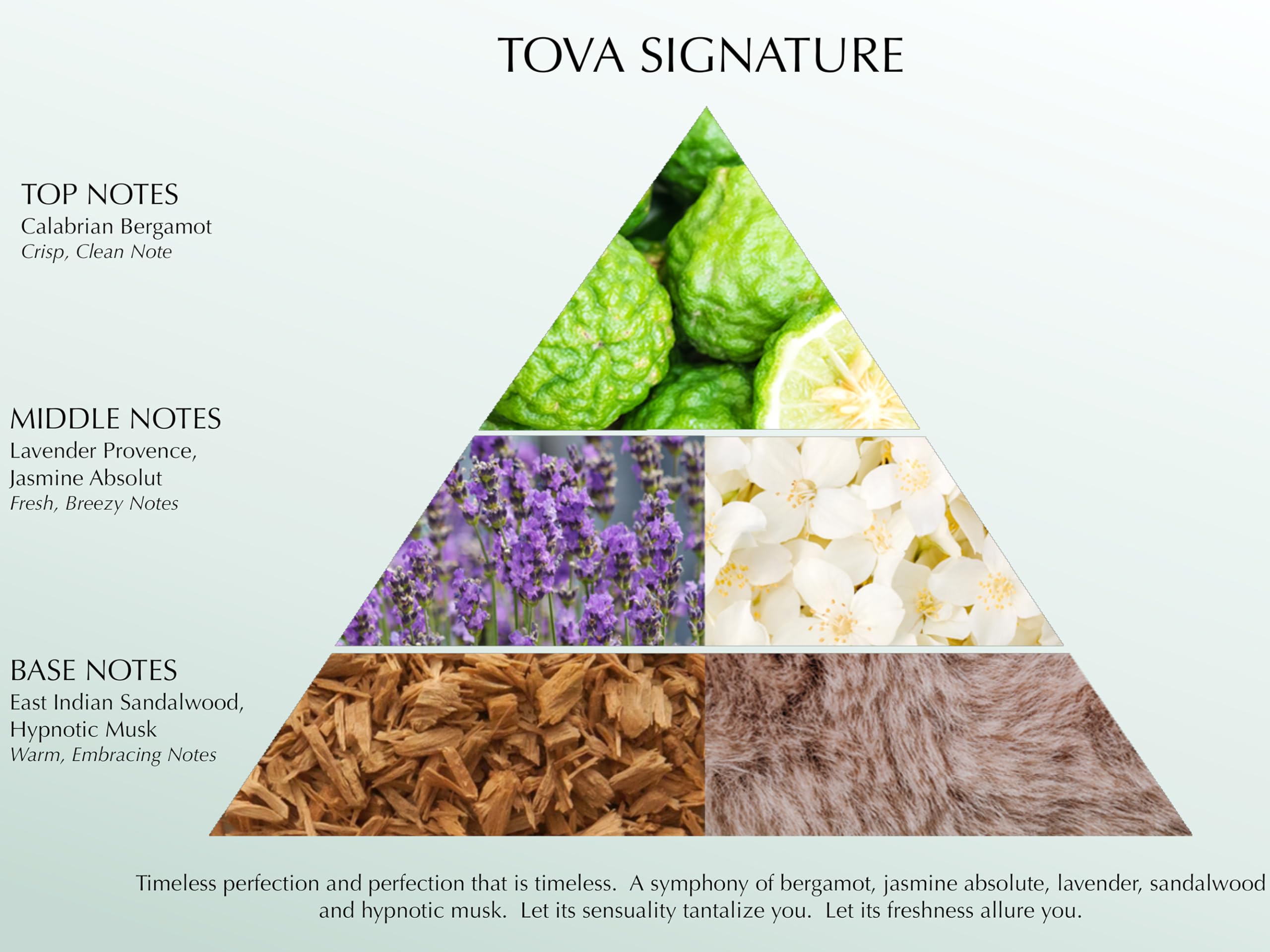 Tova Signature Eau De Parfum Anniversary Gift Set - 3.4oz + 0.5oz Perfume Bottles for Women, Luxury Fragrance Collection for Date Night & Special Occasions