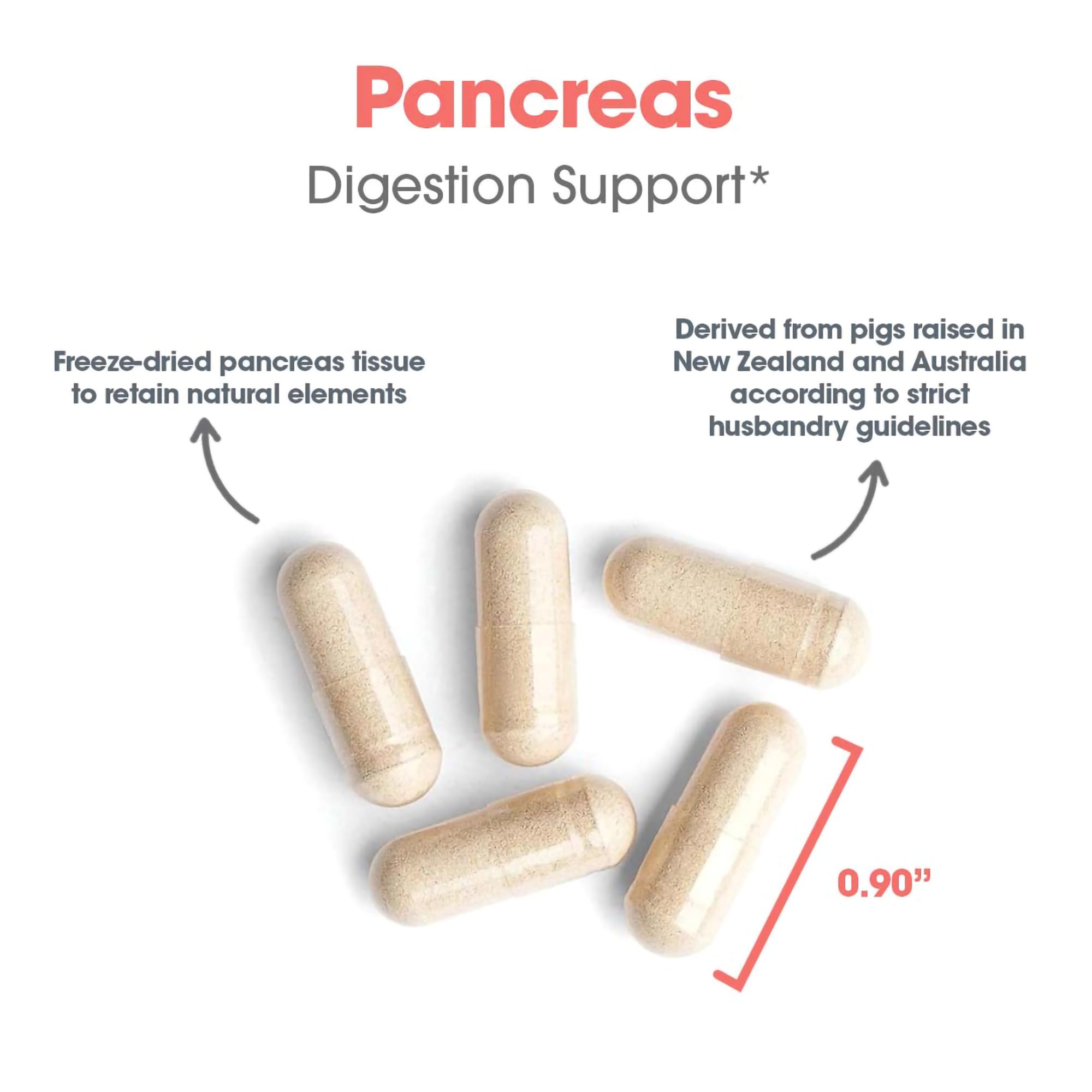 Allergy Research Group Pancreas Dietary Supplement - 720 Count | Digestive Support with Natural Pork Glandur | Hypoallergenic, Vegetarian & Gluten-Free Capsules | Ideal for Gut Health & Enzyme Support