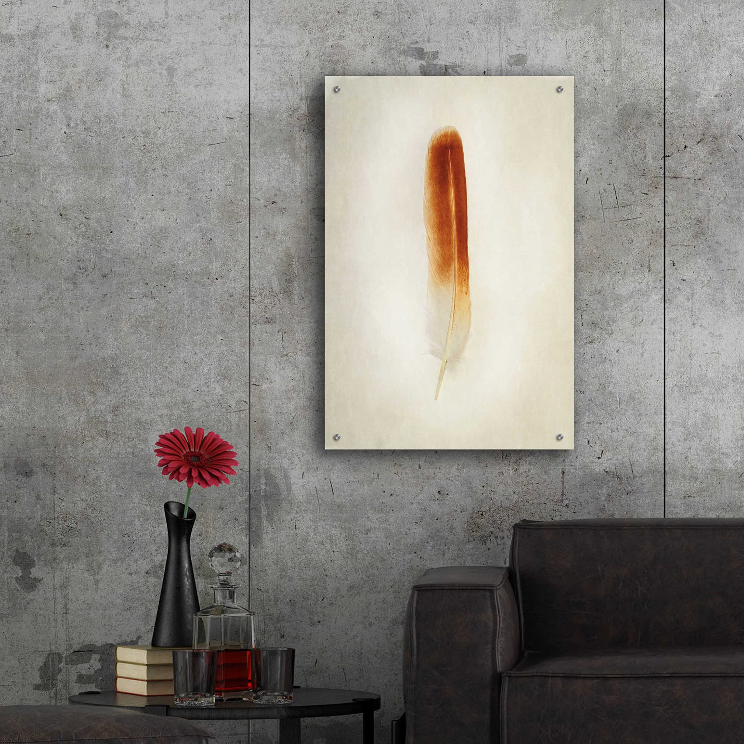Epic Art 'Feather II' by Debra Van Swearingen - 24x36 Inch Acrylic Glass Wall Decor - Modern Abstract Painting for Living Room, Bedroom & Office Decor