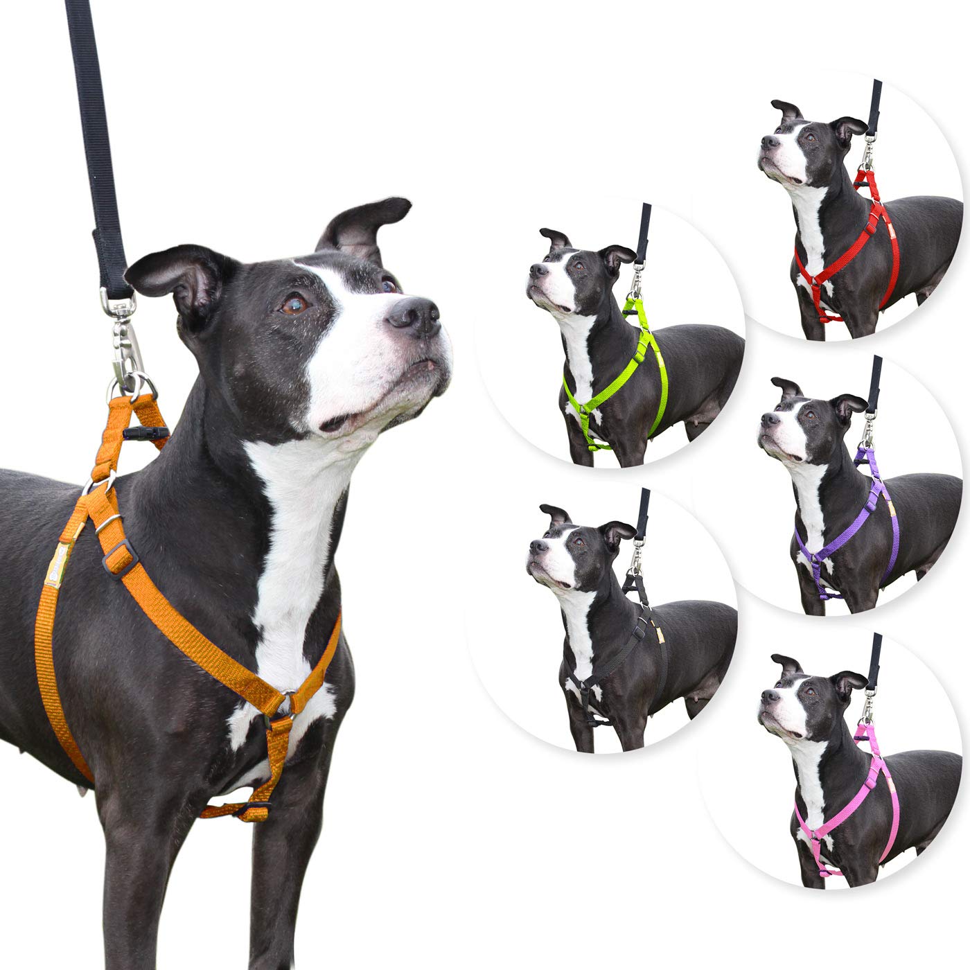 Step-in Dog Harness for Small Dogs - Adjustable & Comfortable Orange Pet Vest - Perfect for Walking, Training & Outdoor Adventures