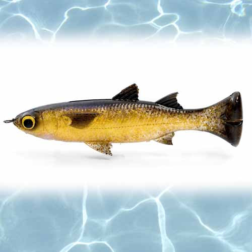 Savage Gear Pulse Tail Mullet Lure 5in - Premium Saltwater Fishing Bait for Bass, Trout, and Redfish - Perfect for Kayak Fishing and Surf Casting