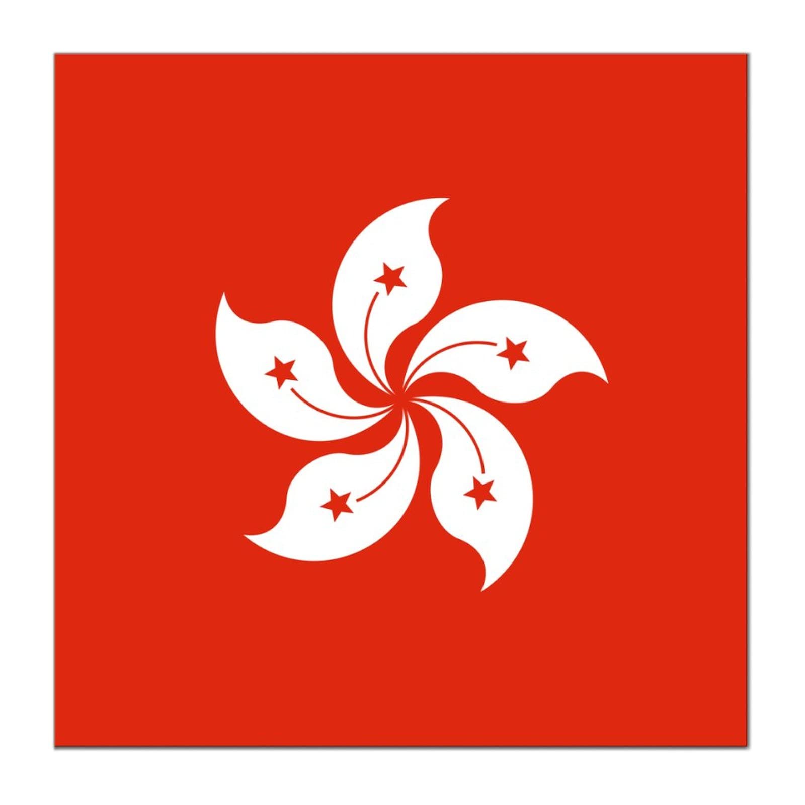 Hong Kong Canvas Wall Art - Retro Modern Flag Painting, Framed Poster Picture for Home Decor, Living Room, Bedroom & Office | Ready to Hang | Perfect for Patriotic Displays & Urban Style Interiors