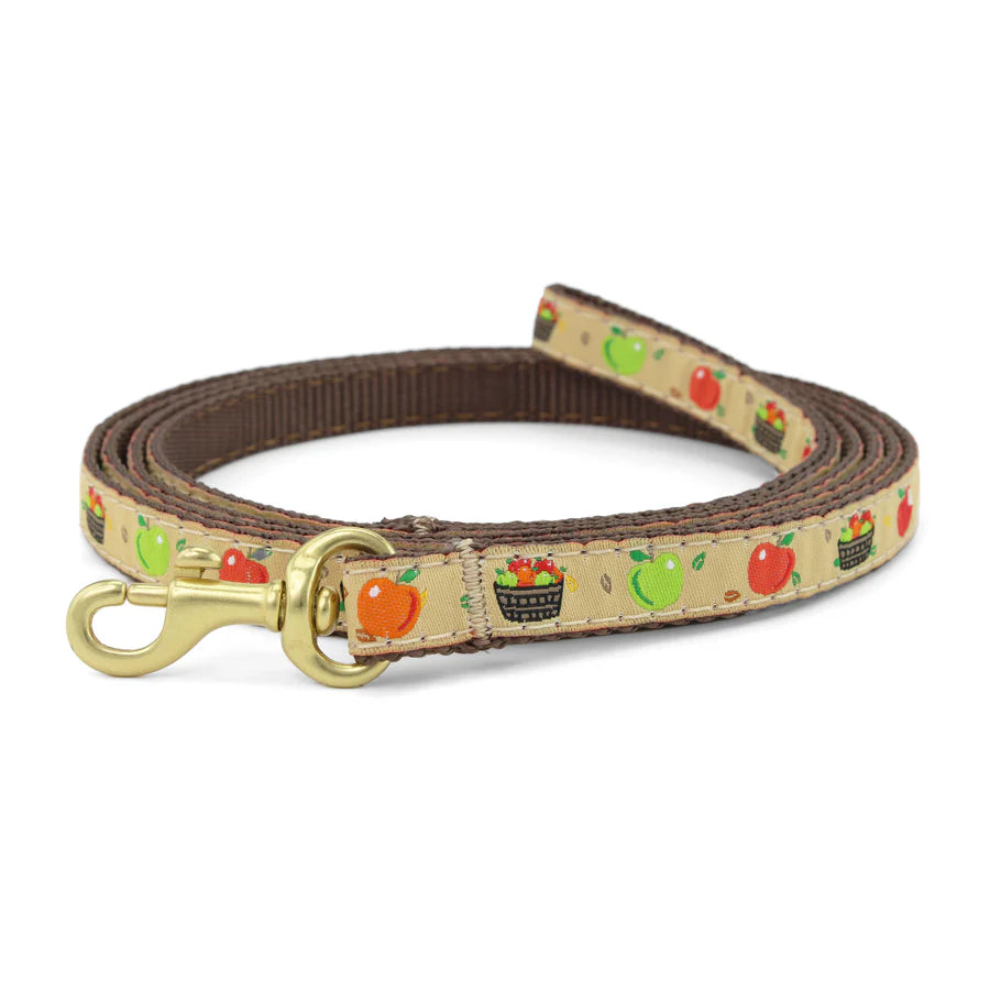 Apple of My Eye Dog Lead - Premium Soft & Adjustable Dog Leash for Small to Medium Dogs - Perfect for Walking, Training & Outdoor Adventures