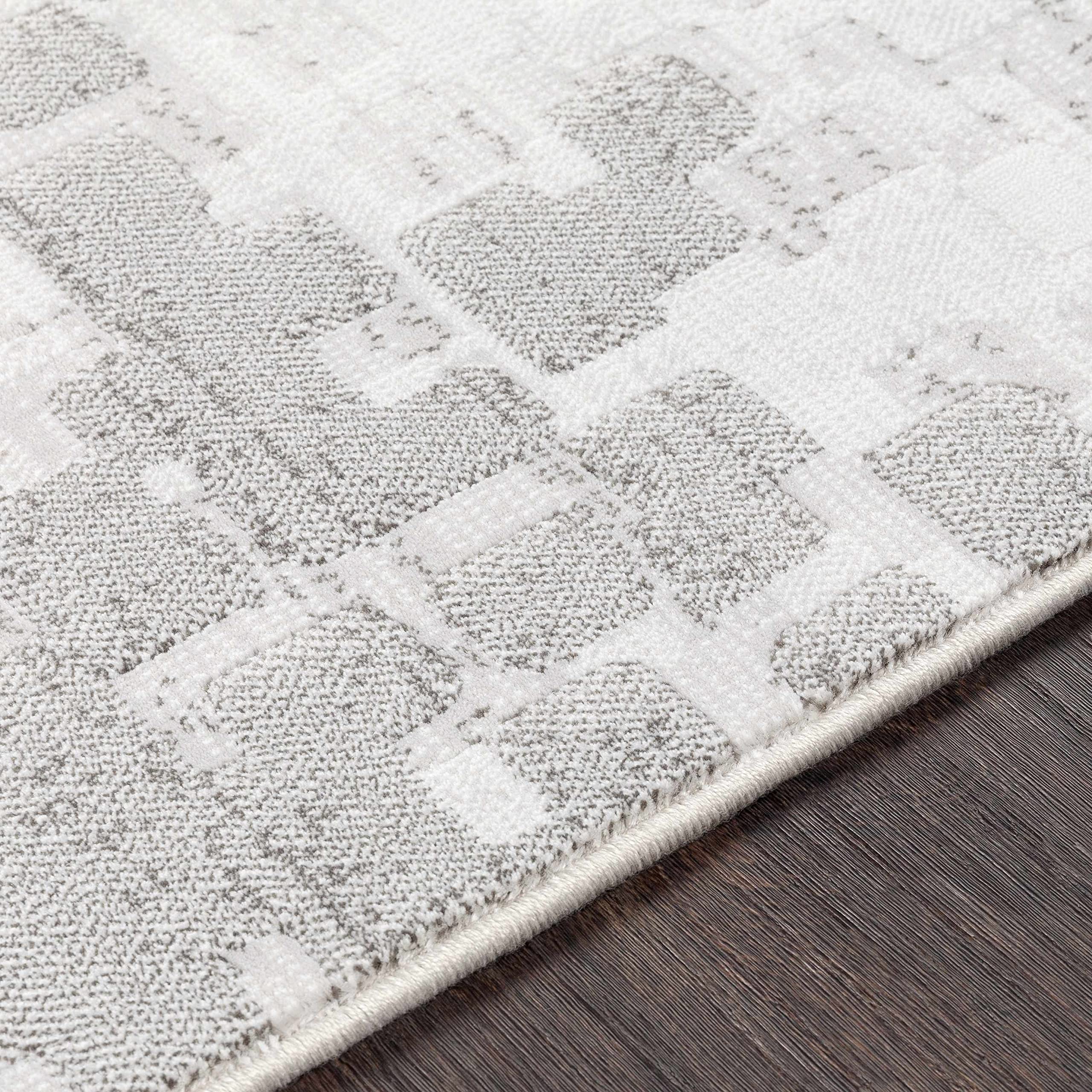 Hauteloom Modern Gray and White Area Rug 2' x 2'11