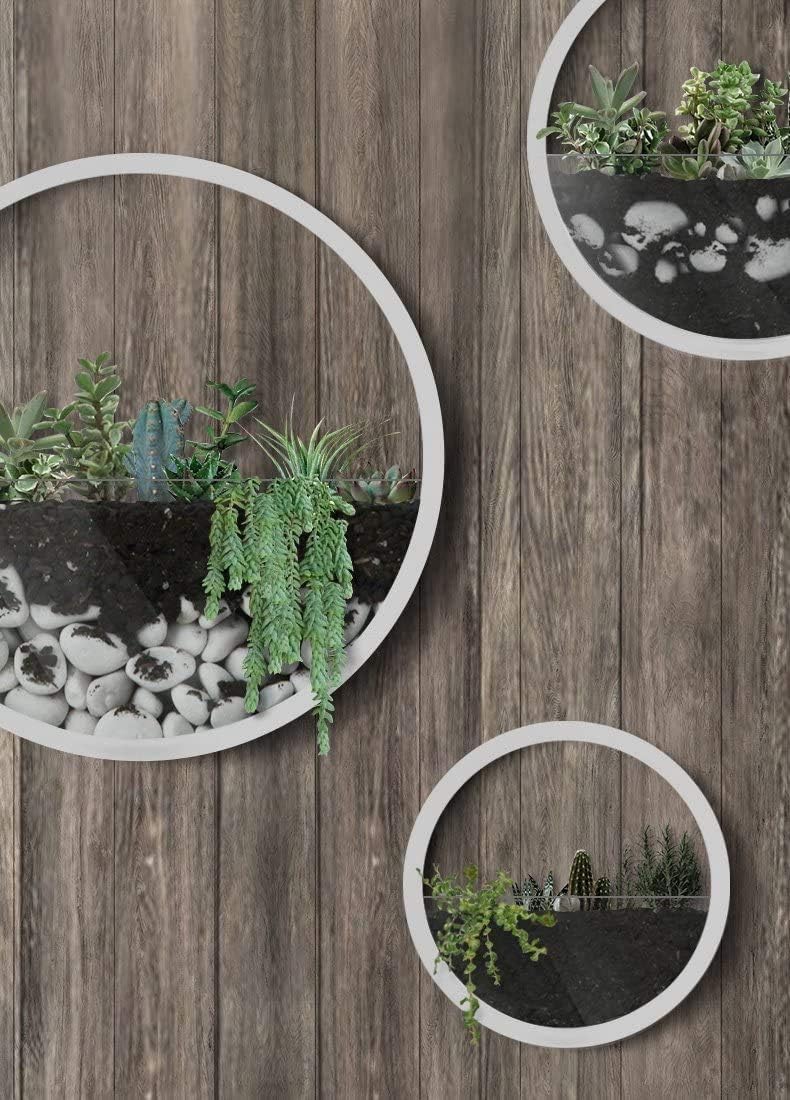 Metal Wall Planter Set of 3 - Round Hanging Wall Vase for Succulents, Small Cactus & Flowers | White Home Decor Planters with Gift Box | Perfect for Living Room, Bedroom & Office Decor