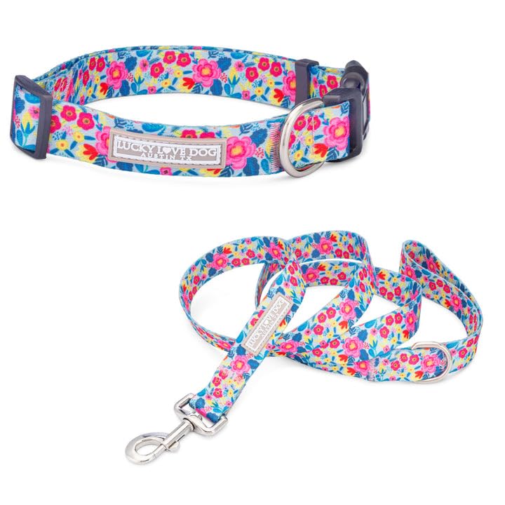 Valentina Collar/Leash Combo