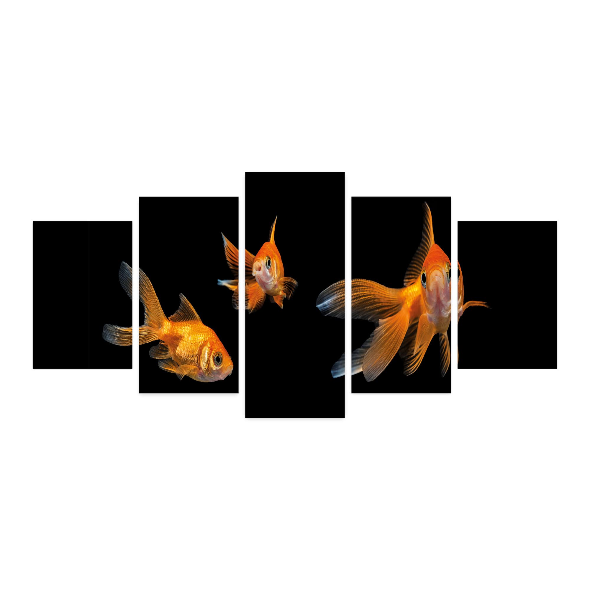 Ambesonne Goldfish Wall Art - 5 Panel Acrylic Glass Painting with Aquatic Theme, Black & Orange Fish Decor (60x30 Inches) - Perfect for Living Room, Bedroom, Dorm or Office Wall Decor