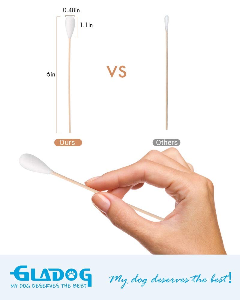 GLADOG 6 Inch Professional Large Cotton Swabs for Dogs - Extra Long Wooden Handle Pet Ear Cleaning Sticks - Safe & Gentle Dog Grooming Supplies for Ears, Eyes & Nose Care - Perfect for Home Pet Cleaning & Veterinary Use