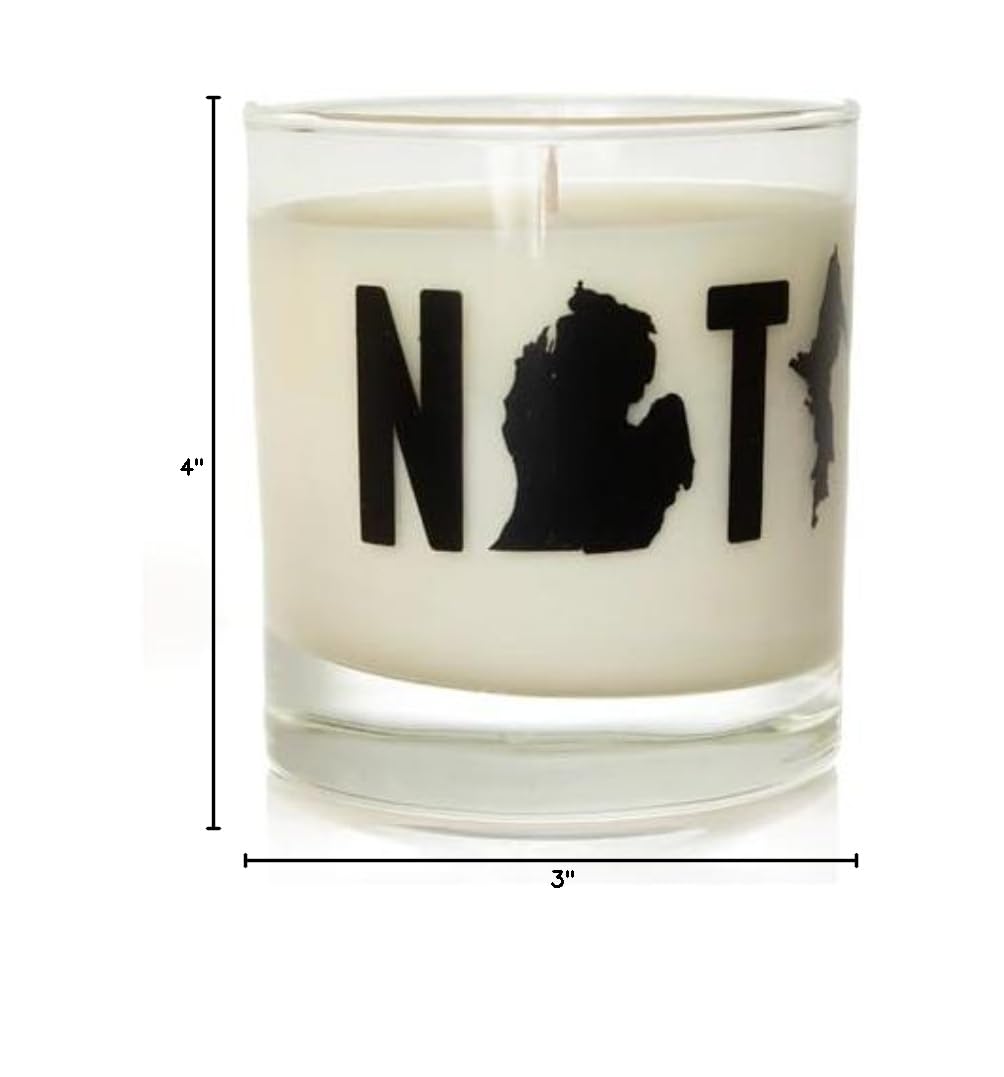 Michigan Native Soy Candle - Handmade Aromatherapy Candle with Cinnamon Scent | Perfect Michigan State Gift for Women, Birthday, Christmas & Graduation | Home Decor, Relaxation & Stress Relief Gift Idea