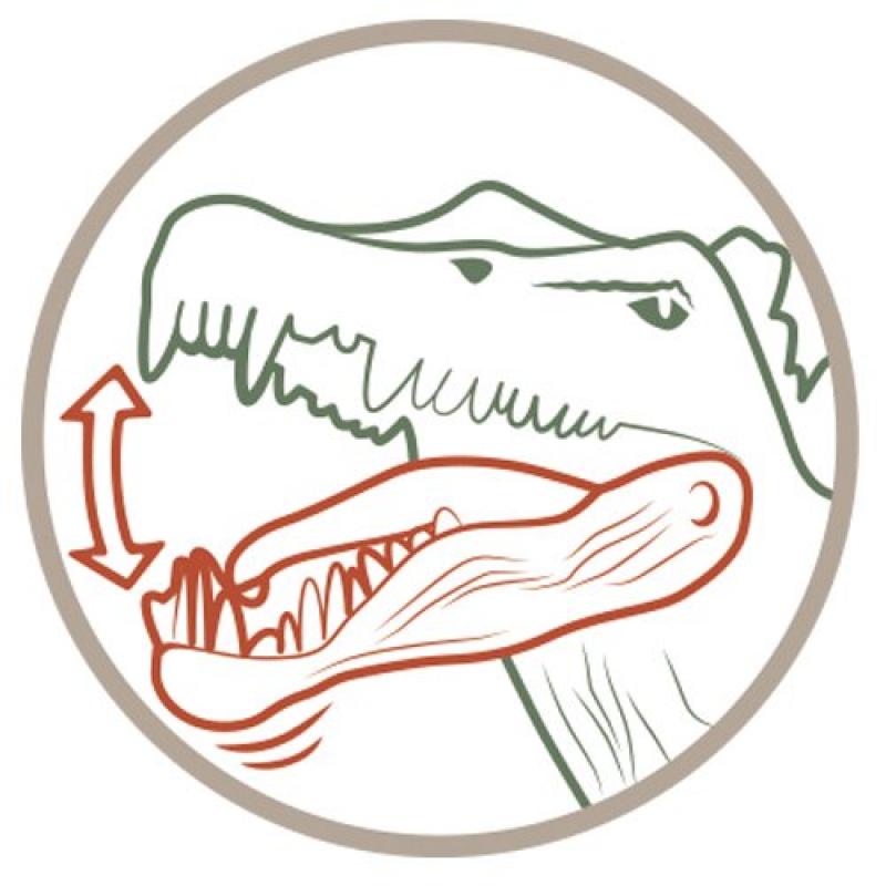 Fossilly T-Rex Dinosaur Toy - Realistic Tyrannosaurus Rex Figure for Kids, Collectors & Educational Play | Perfect for Birthday Gifts, Classroom Learning & Jurassic-Themed Decor