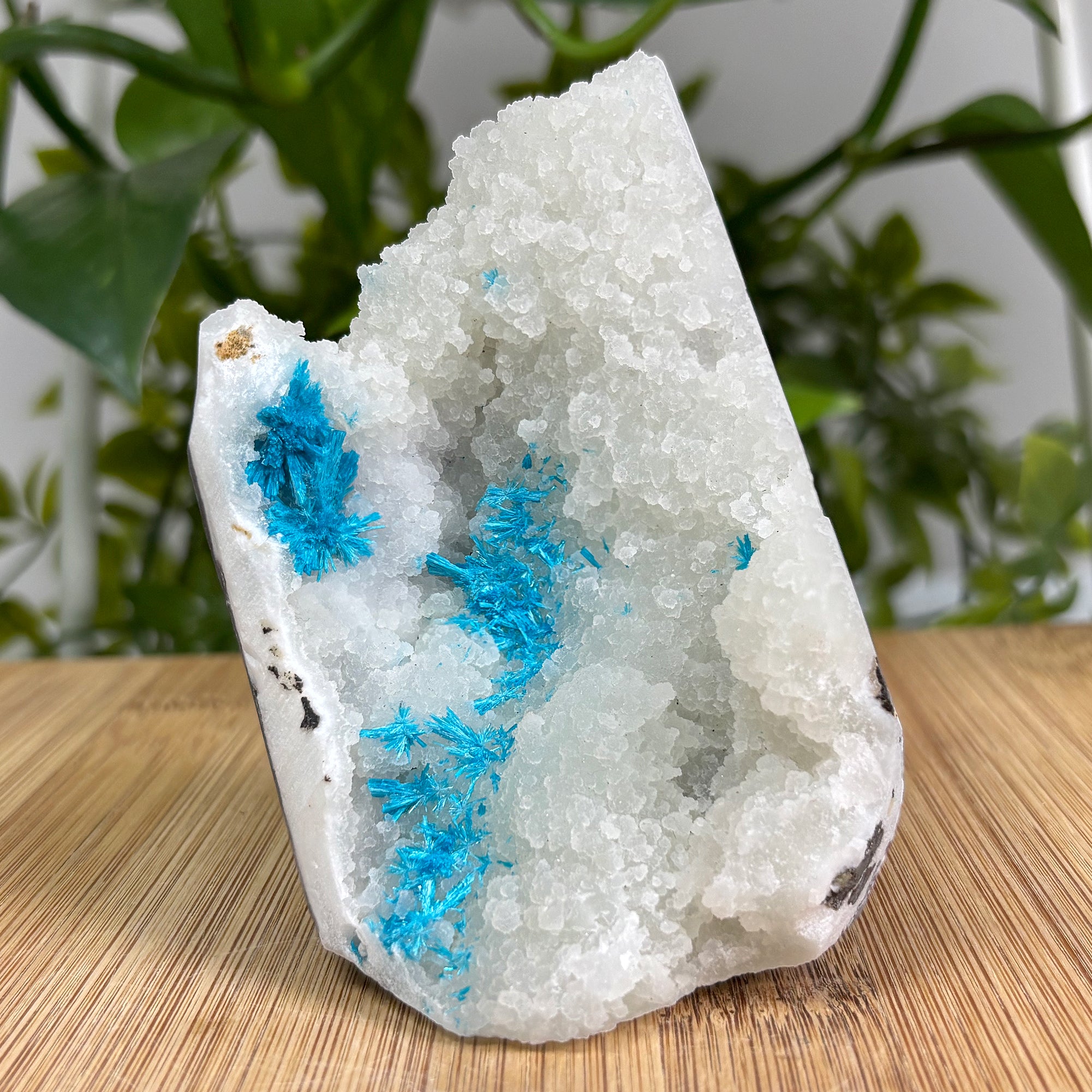 Natural Cavansite Crystal Gemstone Mineral Specimen - Rare Healing Stone for Energy Work, Chakra Balancing & Meditation | Collectible Mineral Display & Spiritual Decor (RMI664)