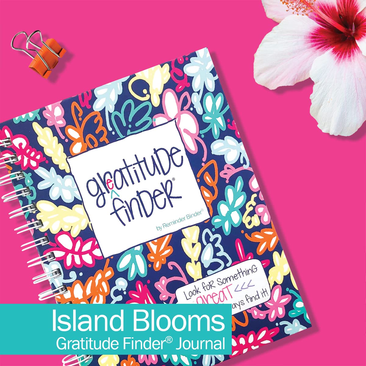Denise Albright Gratitude Finder® 52 Week Non-Dated Journal for Women, Teens & Girls - Self-Care Diary with 165 Hand-Illustrated Stickers (Island Bloom Design) - Perfect for Daily Reflection, Mindfulness Practice & Personal Growth