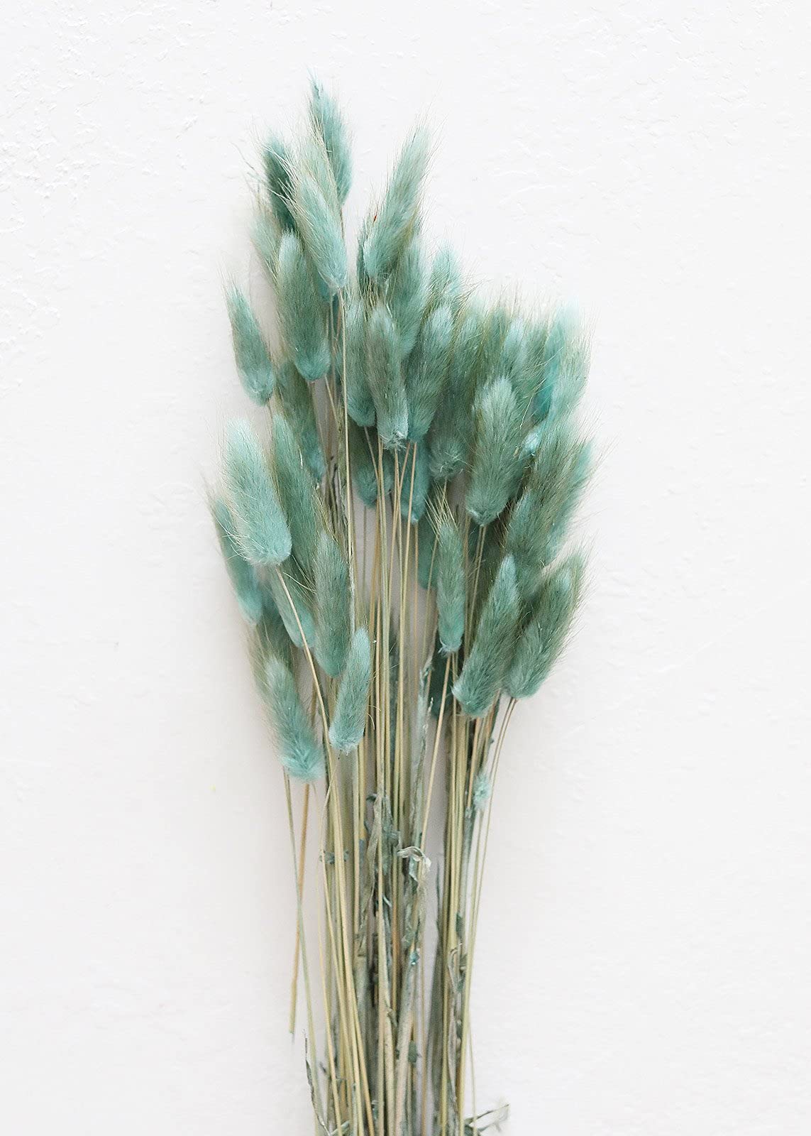 Natural Dried Bunny Tails Decor - 22-30 Inch Long Sea Blue Pampas Grass for Boho Home Decor, Wedding Centerpieces & Floral Arrangements