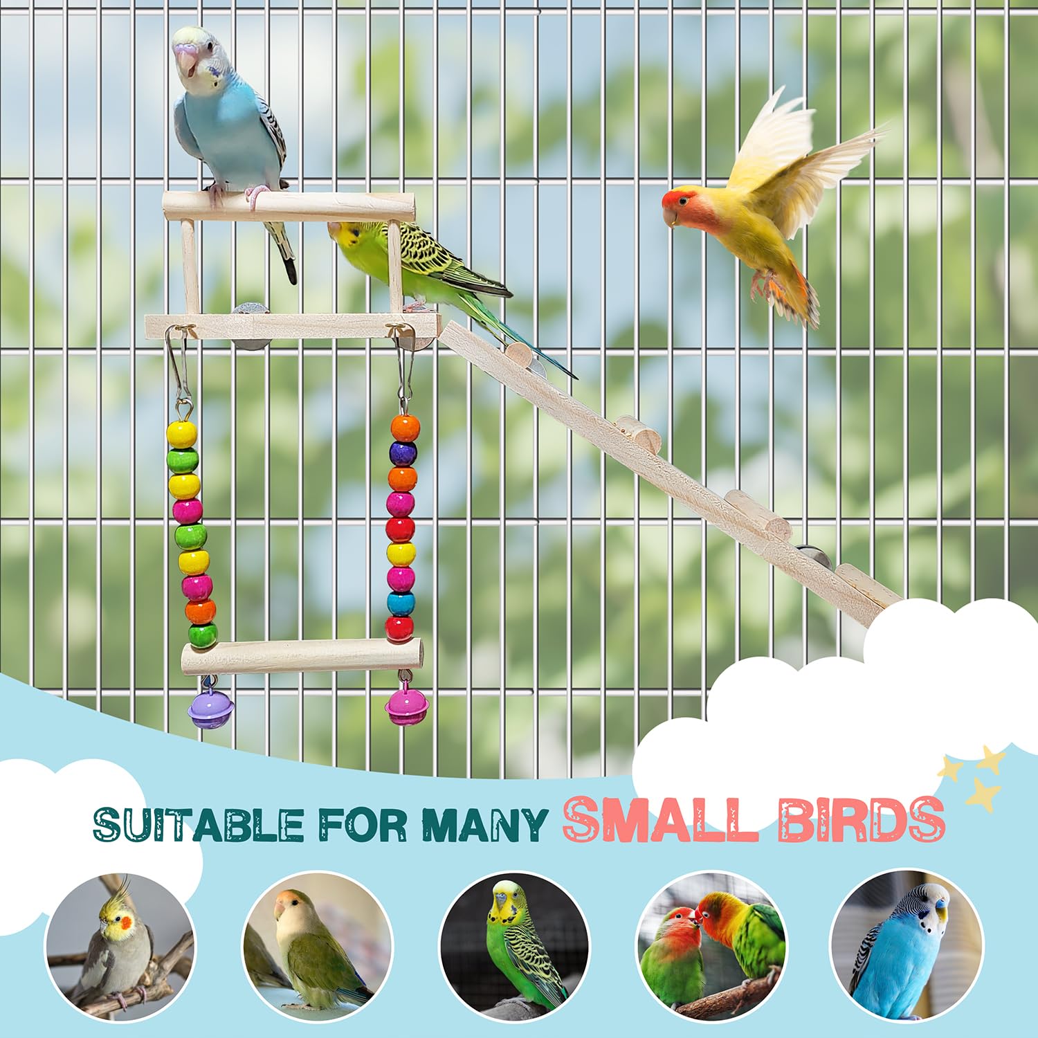 3PCS Natural Wood Bird Perches Platform Swing with Climbing Ladder - Safe Bungee Chew Toys for Parrots, Lovebirds, Budgies, Chinchillas & Small Pets - Cage Accessories for Climbing, Playing & Exercise - Perfect for Green Cheek Conures, Hamsters & Pet Birds