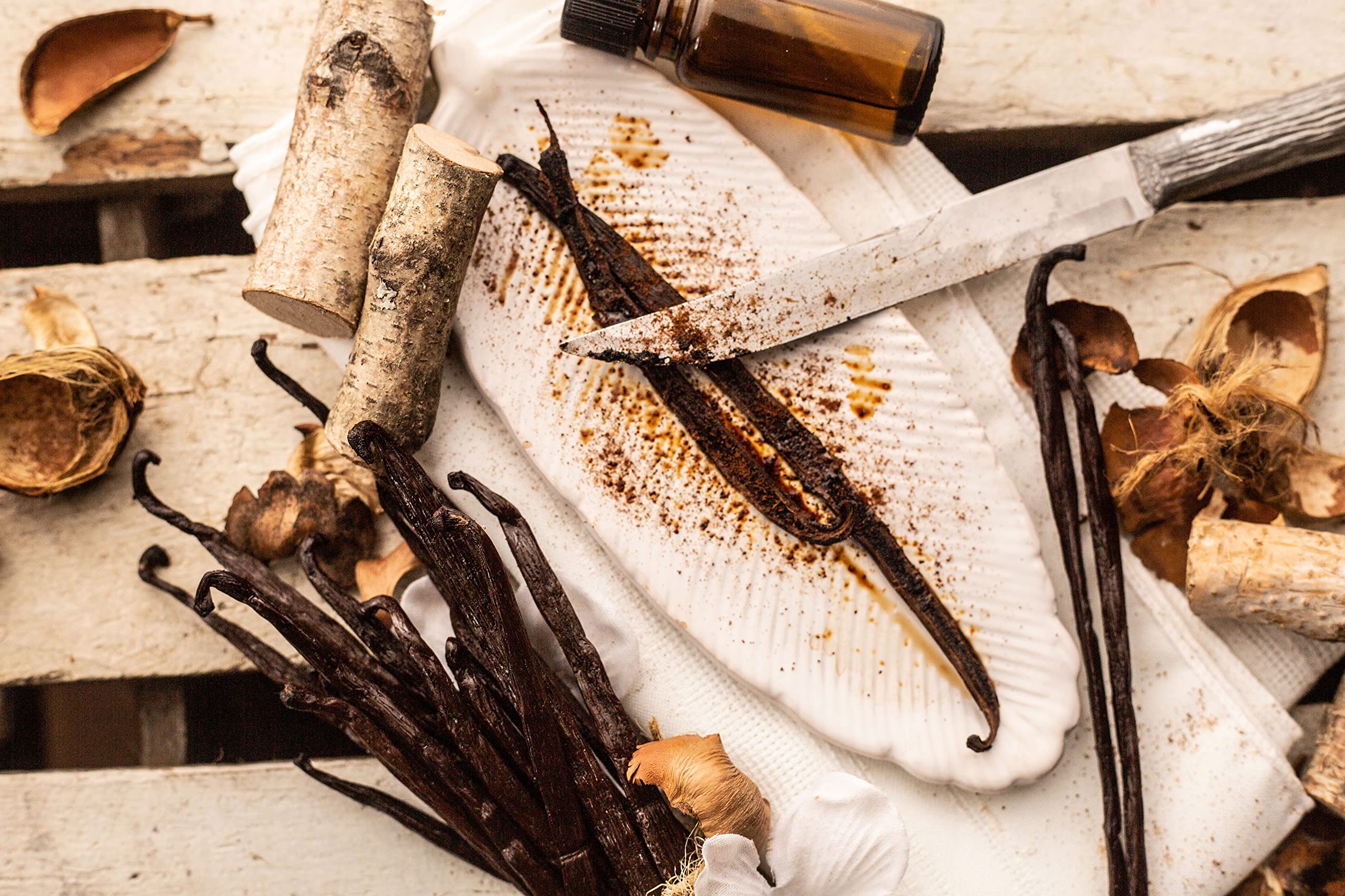 Premium 1 LB Organic Madagascar Vanilla Beans - Grade B Whole Pods for Baking, Homemade Extract, Brewing, Coffee & Cooking | 16oz Bulk Vanilla Beans for Desserts, Ice Cream & Cocktails