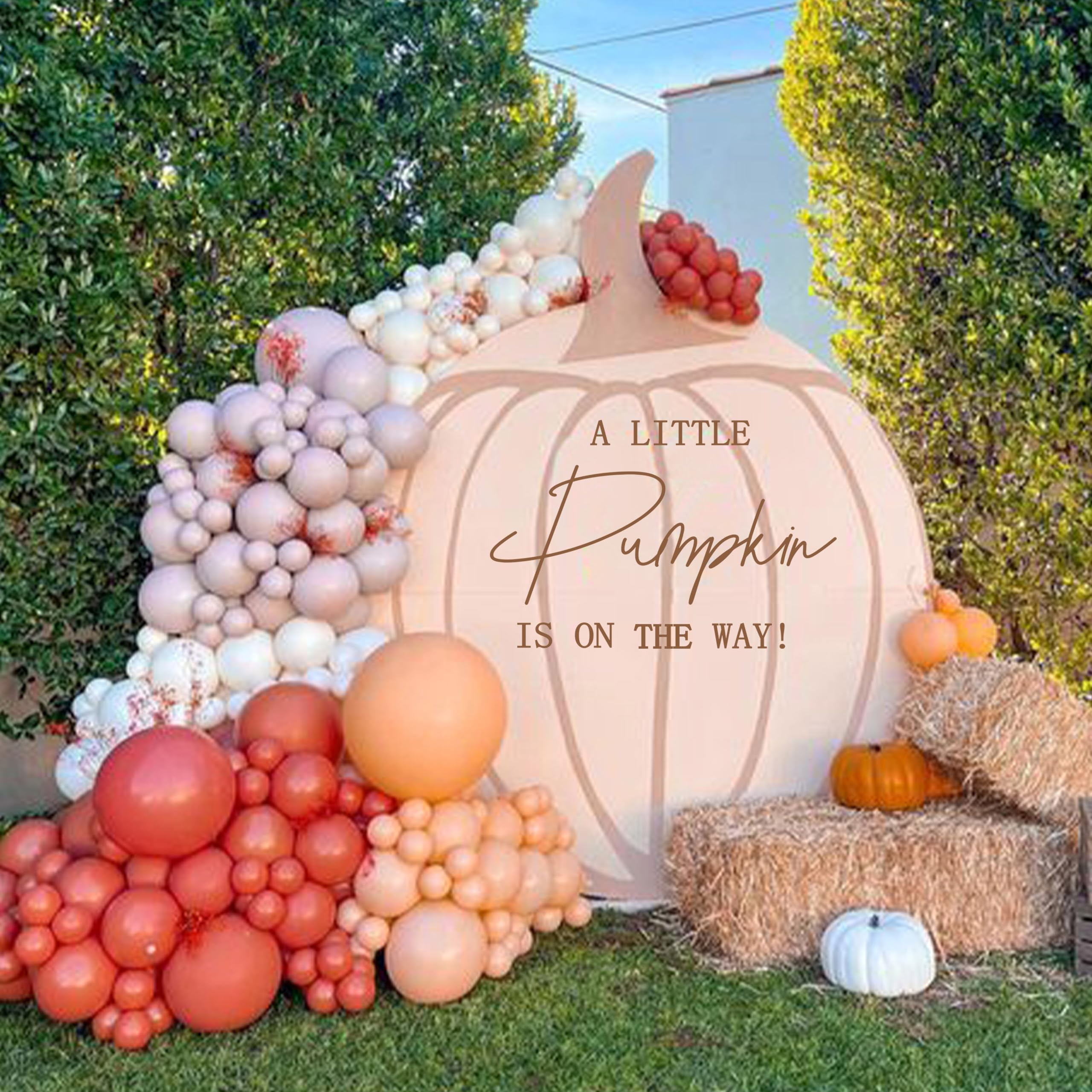 Halloween Pumpkin Decal - 'A Little Pumpkin is On The Way' Baby Shower & Party Decorations - Perfect for Nursery Wall, Fall Baby Announcements, and Autumn Themed Celebrations