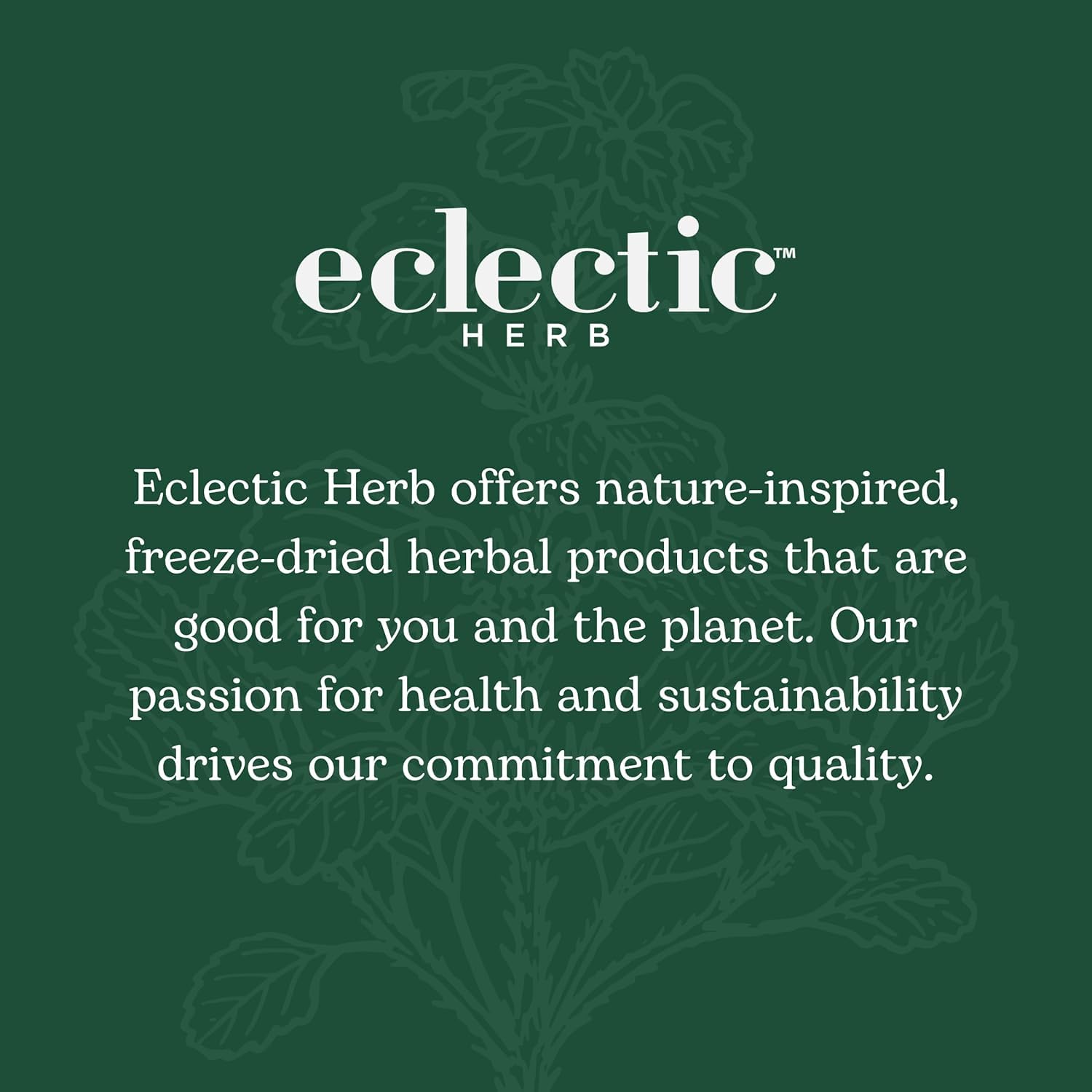 Organic Lemon Greens Powder by Eclectic Institute | 90g Superfood Blend for Detox & Immunity | Perfect for Smoothies, Juices & Wellness Shots