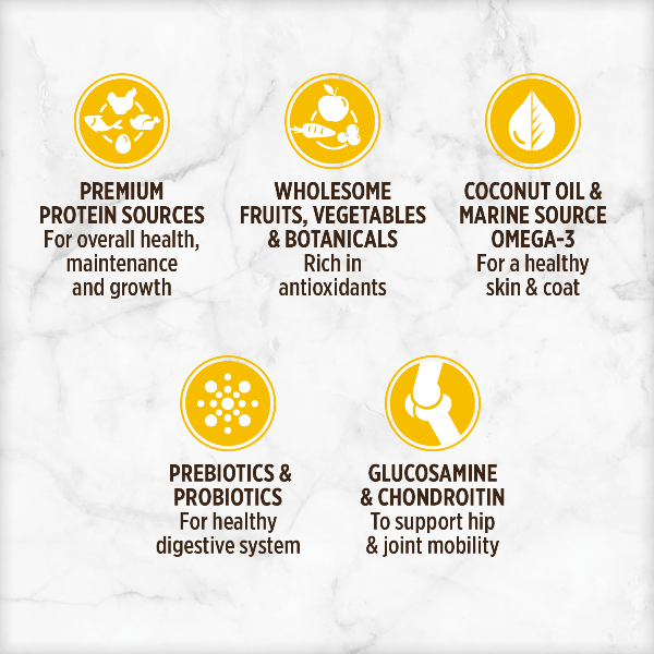 Nutrience Grain Free Turkey, Chicken & Herring Small Breed Dry Dog Food - Premium Protein Rich Kibble for Small Dogs - Perfect for Active Puppies & Adult Dogs at Home or Travel
