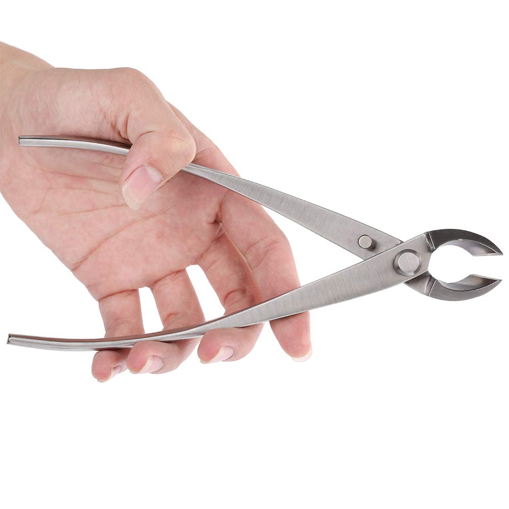 Professional Knob Cutter - Rustproof Concave Bonsai Pruning Shears for Gardening, Tree Trimming & Plant Care | Ideal for Beginners & Enthusiasts | Perfect for Bonsai Shaping, Garden Maintenance & DIY Landscaping