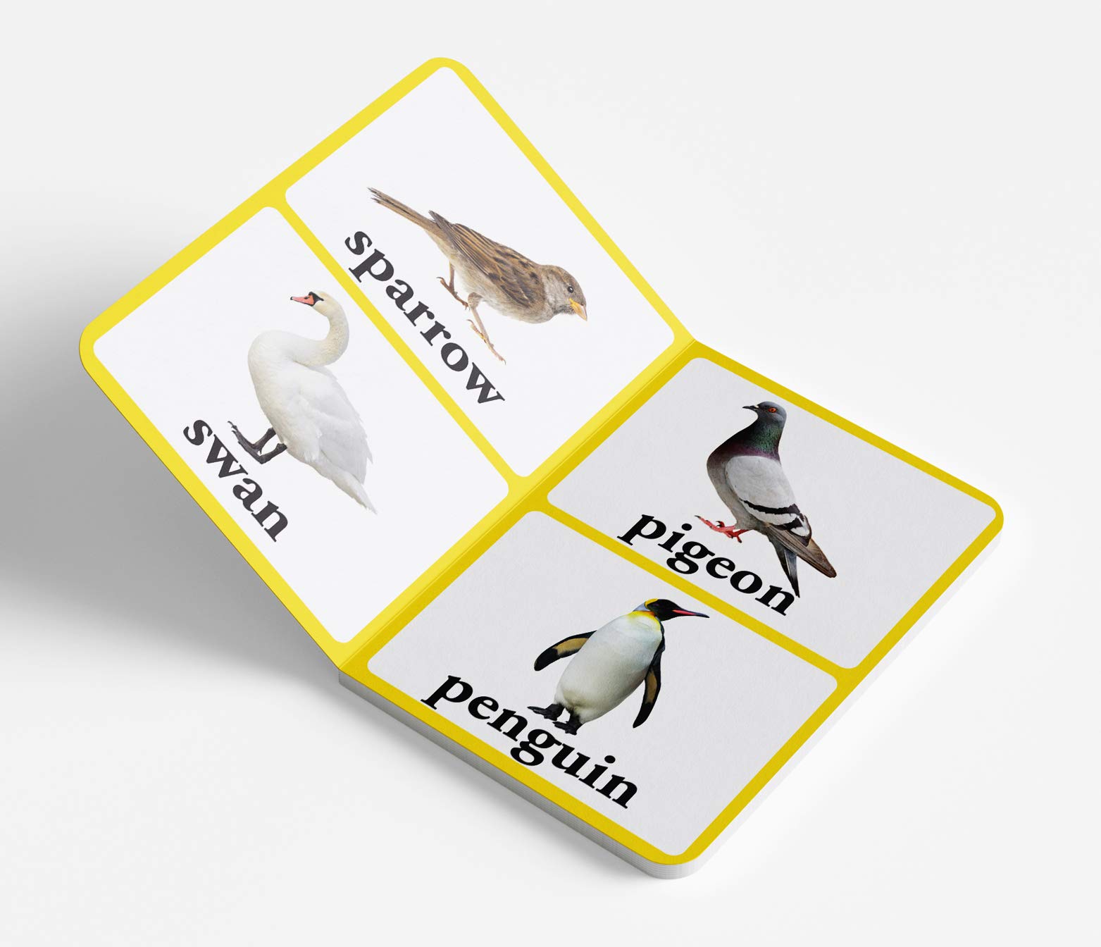 Birds - Big Board Books for Toddlers & Babies | Durable Early Learning Picture Book for Kids | Perfect for Storytime, Gifts & Preschool Education