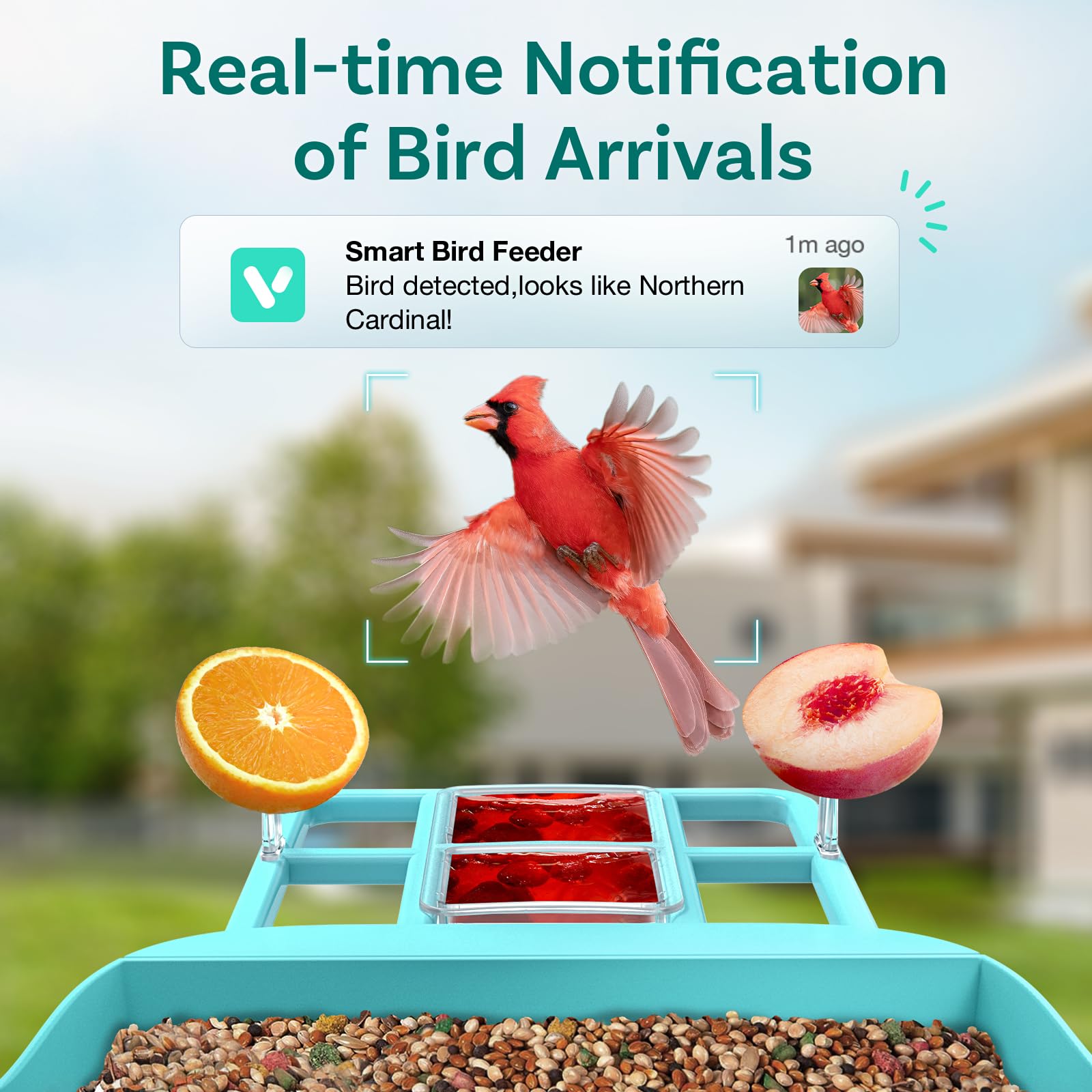 Smart Bird Feeder with Camera - AI Identifies 11,000+ Bird Species, Solar Powered, Motion Detection & Auto Capture Alerts - Perfect for Backyard Bird Watching & Wildlife Monitoring