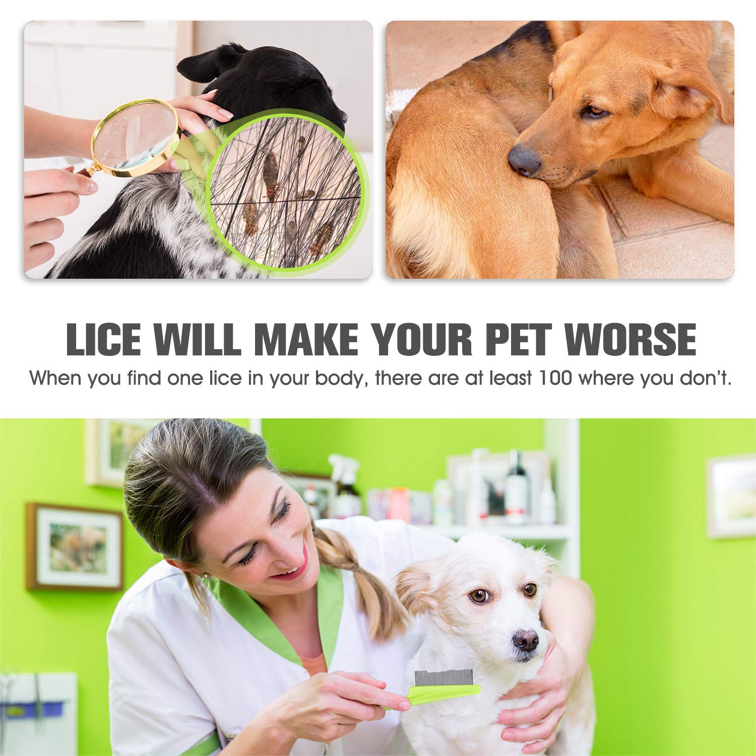 **Premium Metal Flea Comb for Cats & Dogs - Durable Lice & Tear Stain Remover, Detangles Hair, Reduces Dandruff - 3-Piece Pet Grooming Set with Storage Pouch (Green) - Perfect for Daily Grooming & Flea Control**