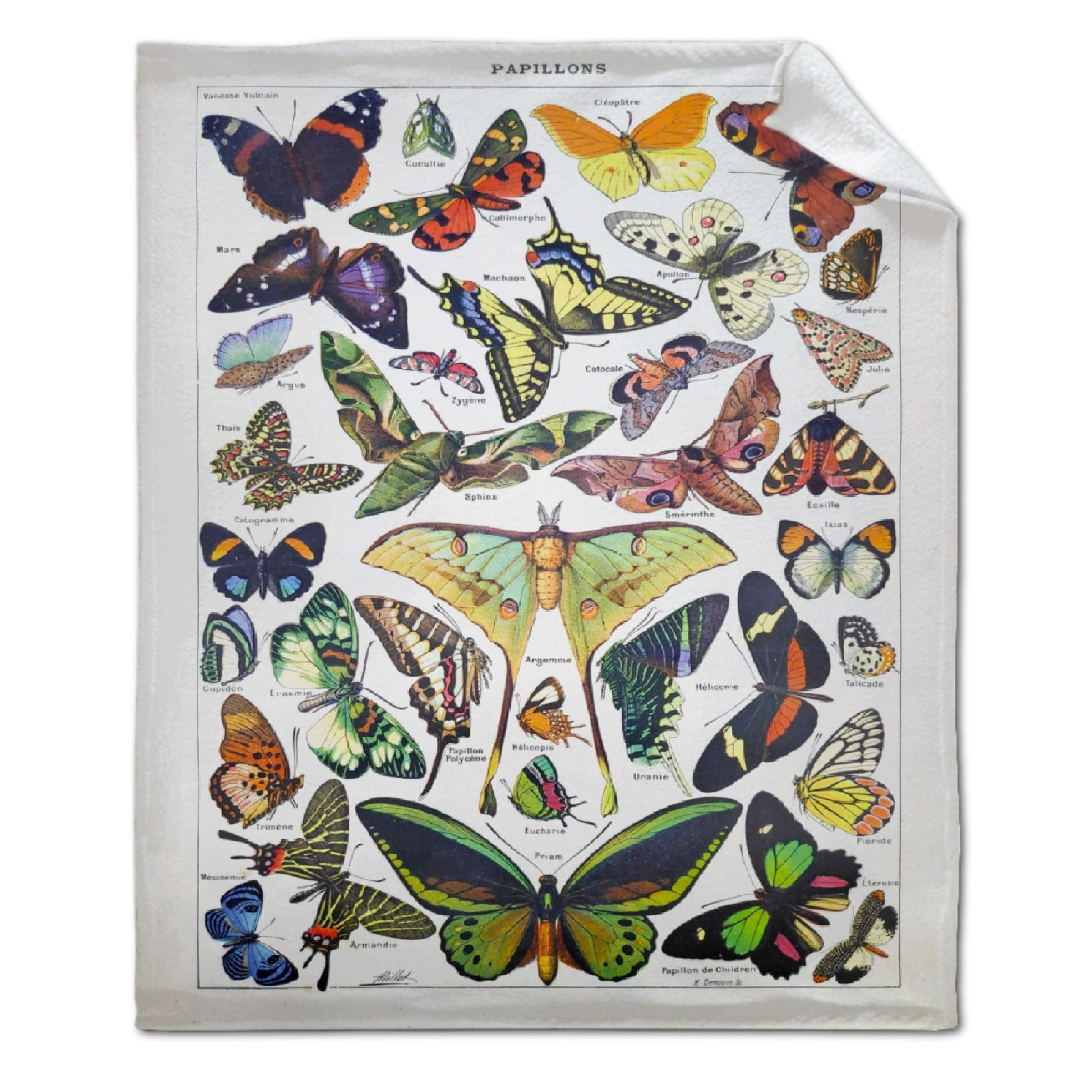 Vintage French Butterfly Moth Fleece Throw Blanket - Super Soft Cozy Flannel Blanket 50x40 Inches - Perfect for Bed, Couch, Sofa & Travel - Cute Kids Room Decor & Gift Idea