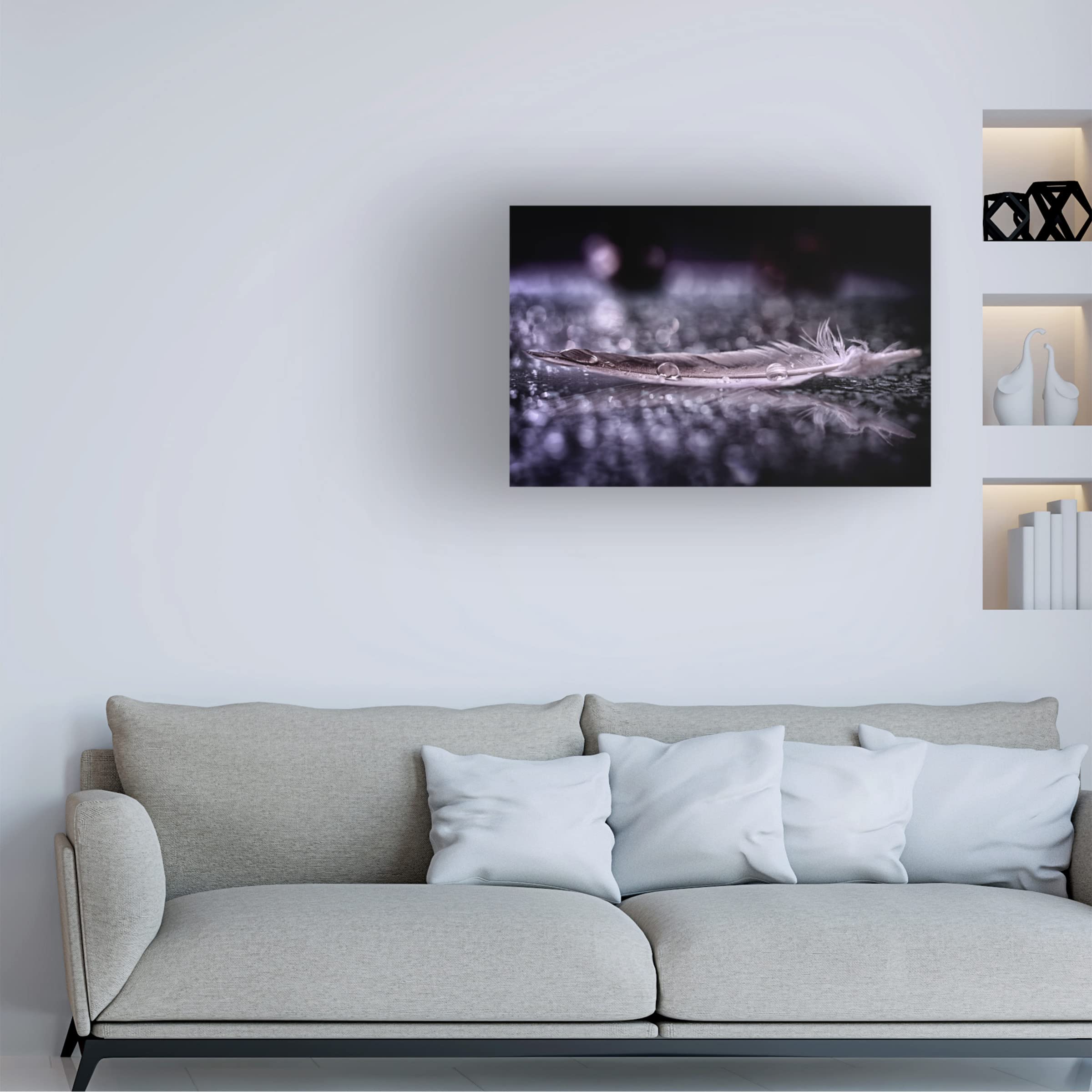 Trademark Fine Art 'Feather And Drop II' Canvas Wall Art by Alessandro Fabiano - Modern Home Decor for Living Room, Bedroom & Office