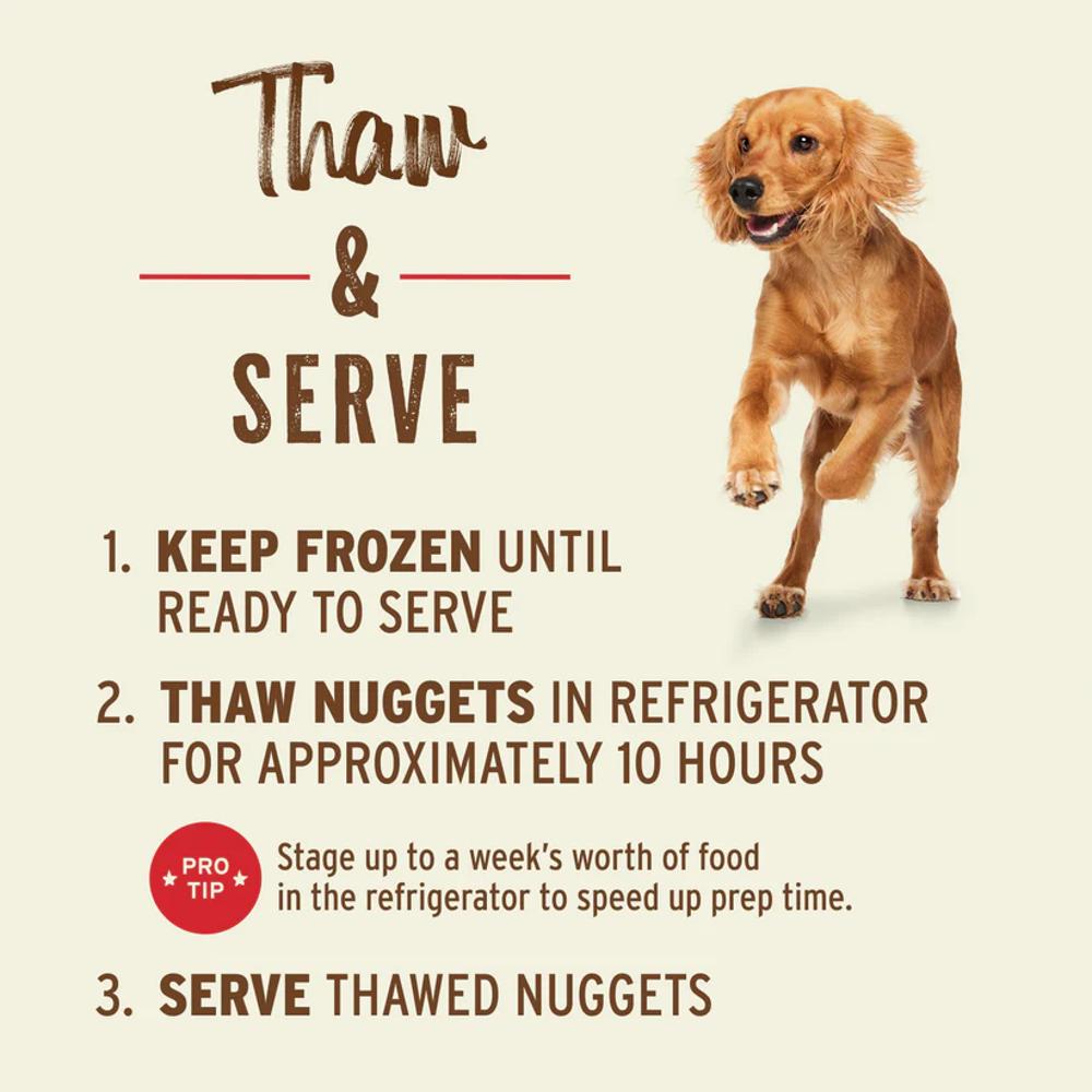 Premium Freeze Dried Lamb Nuggets for Dogs - All-Natural High Protein Dog Treats - Perfect for Training, Rewards & Outdoor Adventures