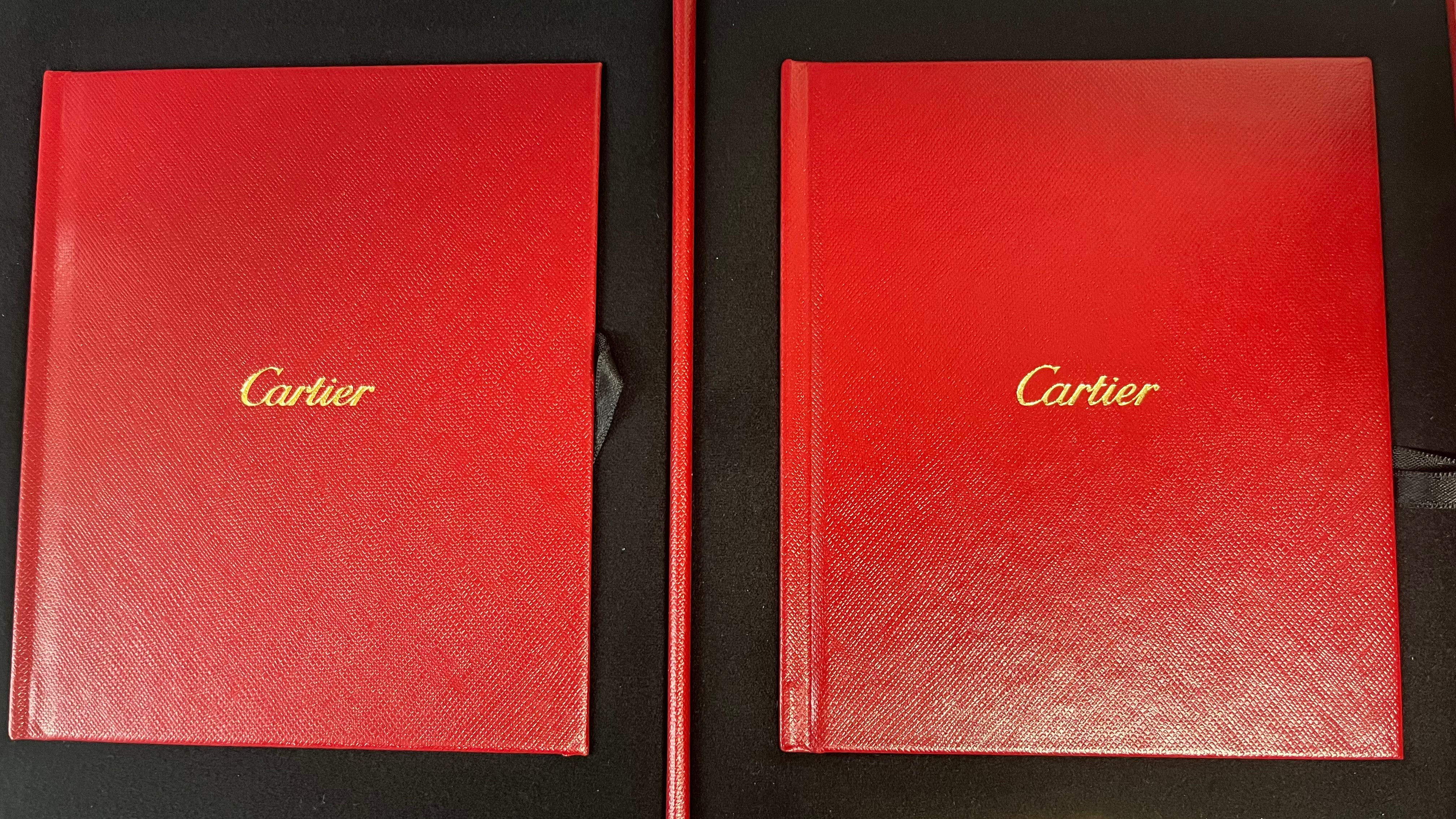 Cartier Santos de Cartier Skeleton Large Men's Watch WHSA0019 - Luxury Skeleton Dial Stainless Steel Watch for Business & Formal Occasions