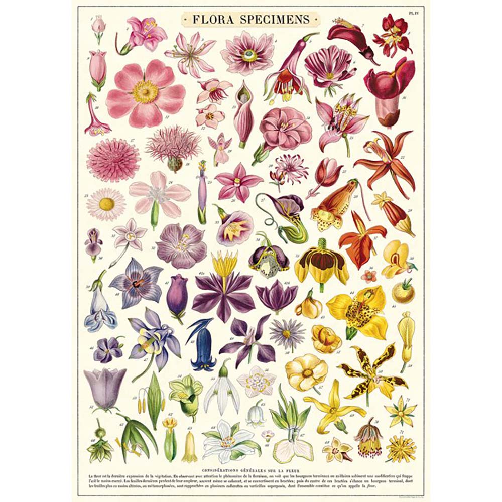 Premium Floral Specimen Wrapping Paper - Perfect for Flower Preservation, DIY Crafts, and Botanical Art Projects