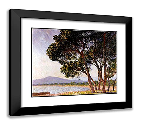 Black Modern Wood Frame with Double Matting