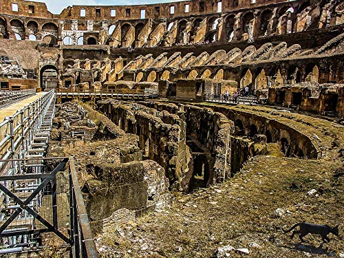 Ancient Colosseum Rome Landmark Poster - 20x30 Inch Laminated Wall Art with Vibrant Colors - Perfect for Home Decor, Office & Classroom - Fits Standard Frames