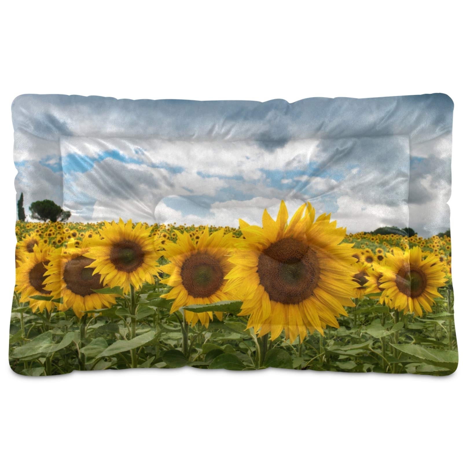 KEEPREAL Natural Sunflower Pet Bed - Ultra Soft Rectangle Dog Bed & Cat Bed for Small to Medium Pets (24x18 Inch) | Calming Comfort Bed for Puppies, Kittens, and Adult Pets - Perfect for Living Room, Bedroom, or Pet Travel