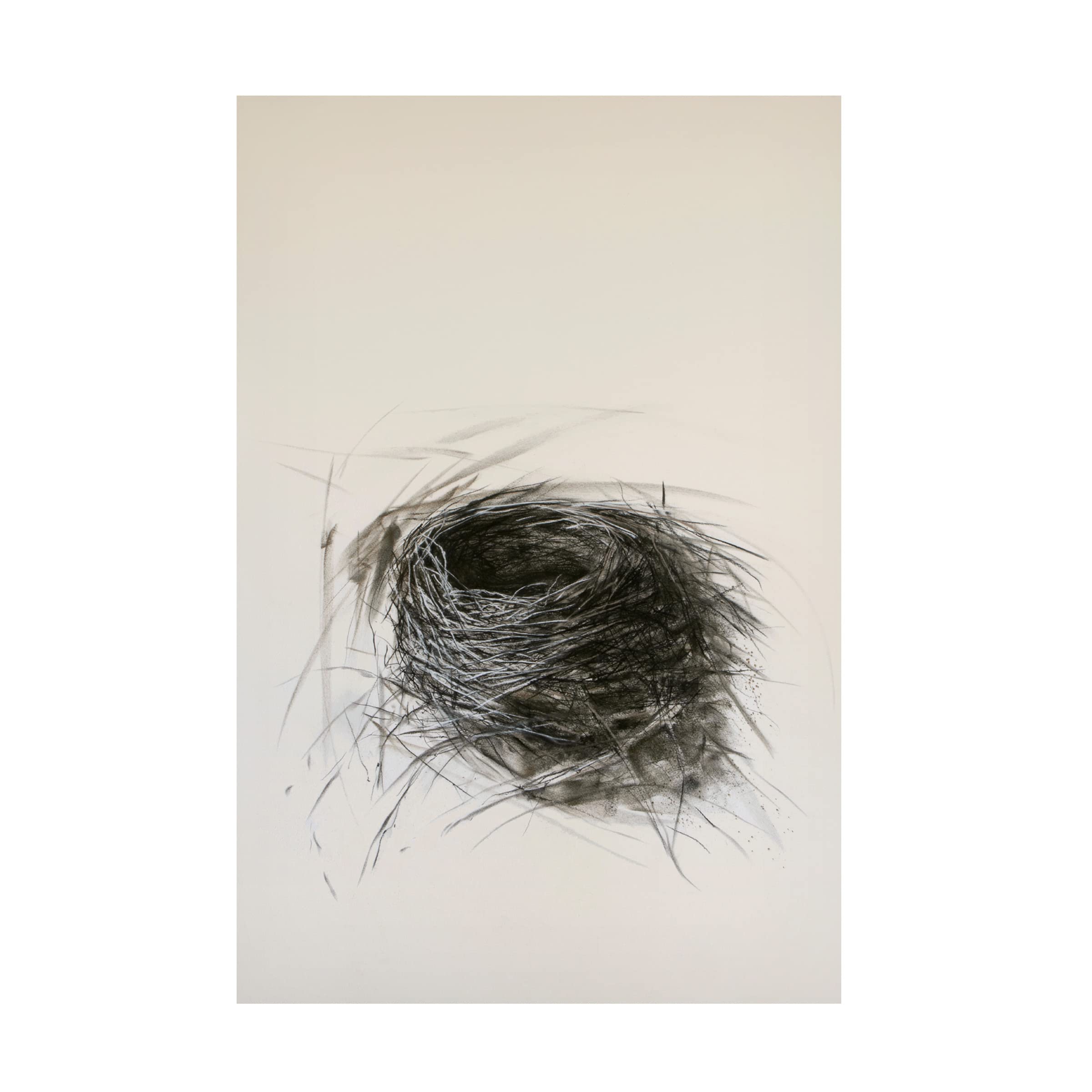 Trademark Fine Art 'Habitat' Canvas Wall Art by Kris Ekstrand - Nature Inspired Home Decor for Living Room, Bedroom & Office