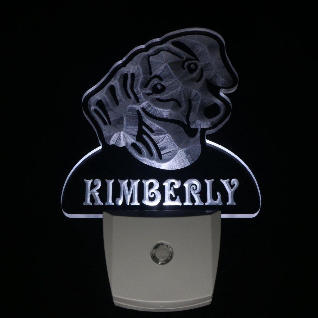 ADVPRO ws1065-tm Personalized Dachshund Dog Night Light with Name - LED Pet Sign with Day/Night Sensor - Perfect for Bedroom, Nursery & Pet Lover Gifts