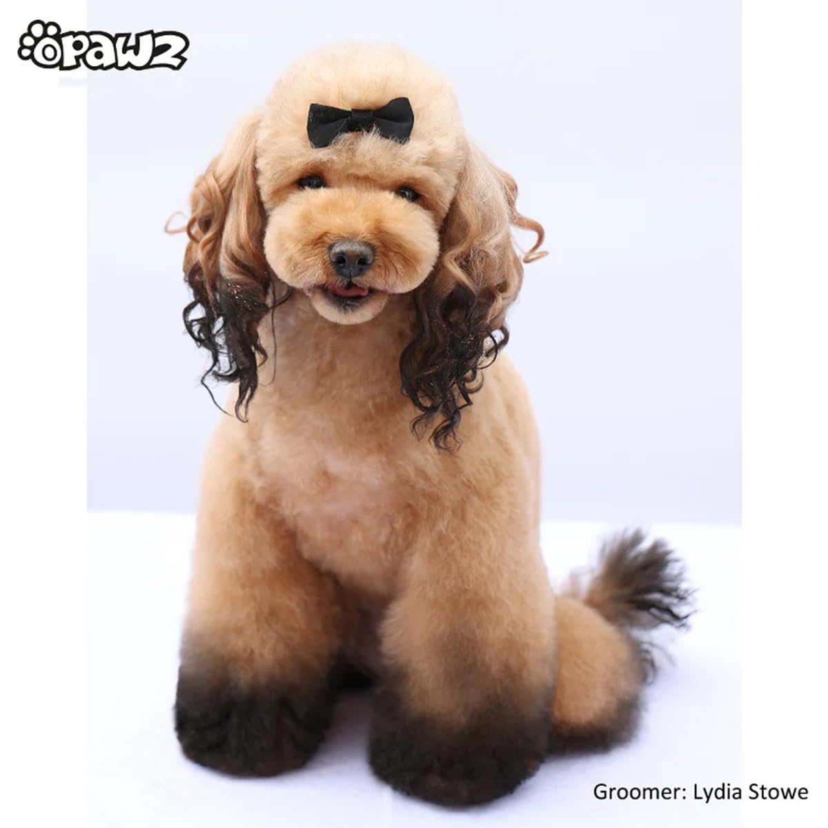 OPAWZ Washable Pet Hair Dye - Safe Temporary Dog Hair Chalk for Creative Grooming (Black) - Perfect for Parties & Pet Shows